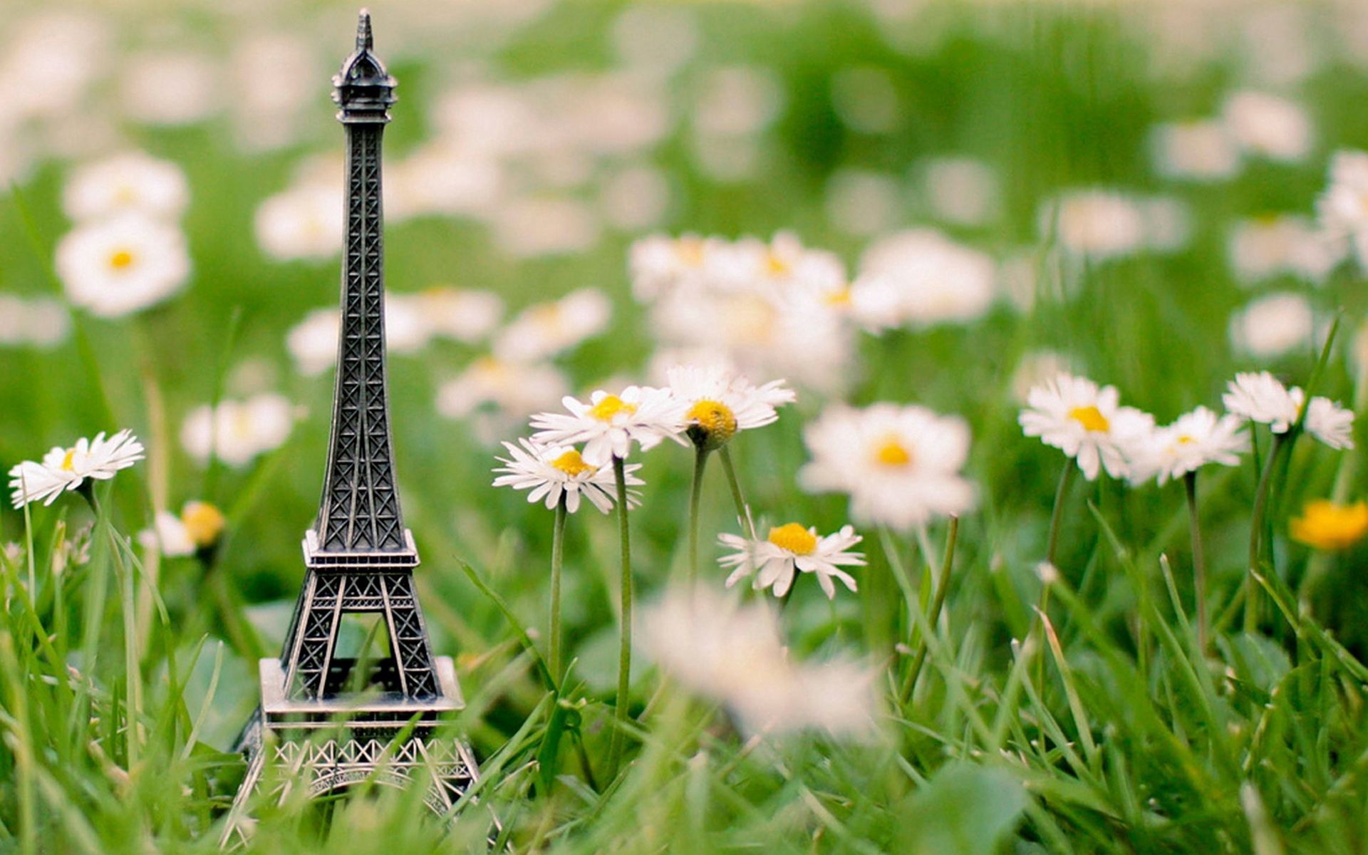 Free download wallpaper Flowers, Grass, Miscellanea, Trinket, Eiffel Tower, Miscellaneous on your PC desktop