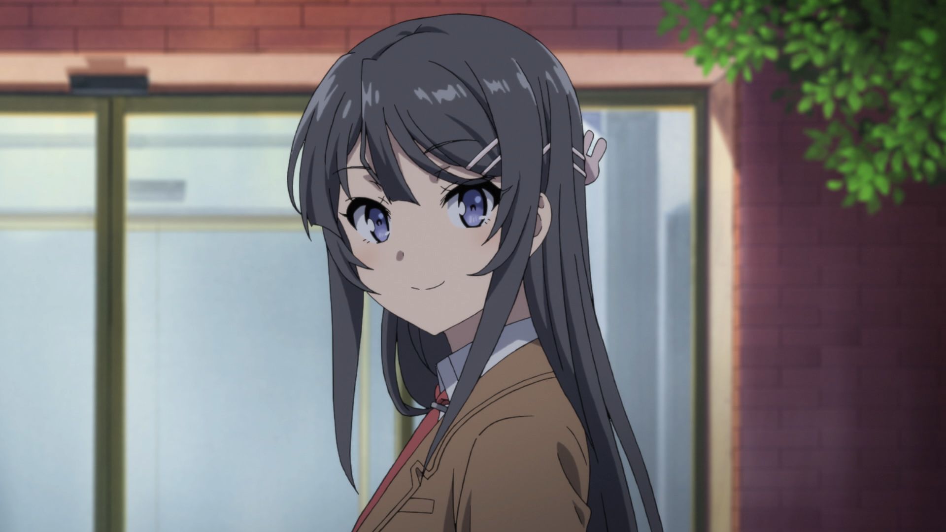 school uniform, rascal does not dream of bunny girl senpai, mai sakurajima, anime, blue eyes, grey hair mobile wallpaper