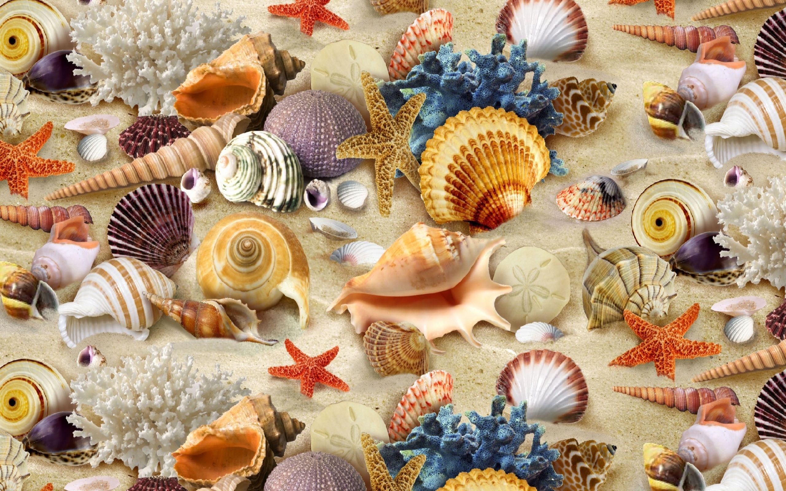 792343 скачать обои кораллы, гребешок, песок, оболочка, красочный, морская звезда, земля/природа, цвета, раковина - заставки и картинки бесплатно