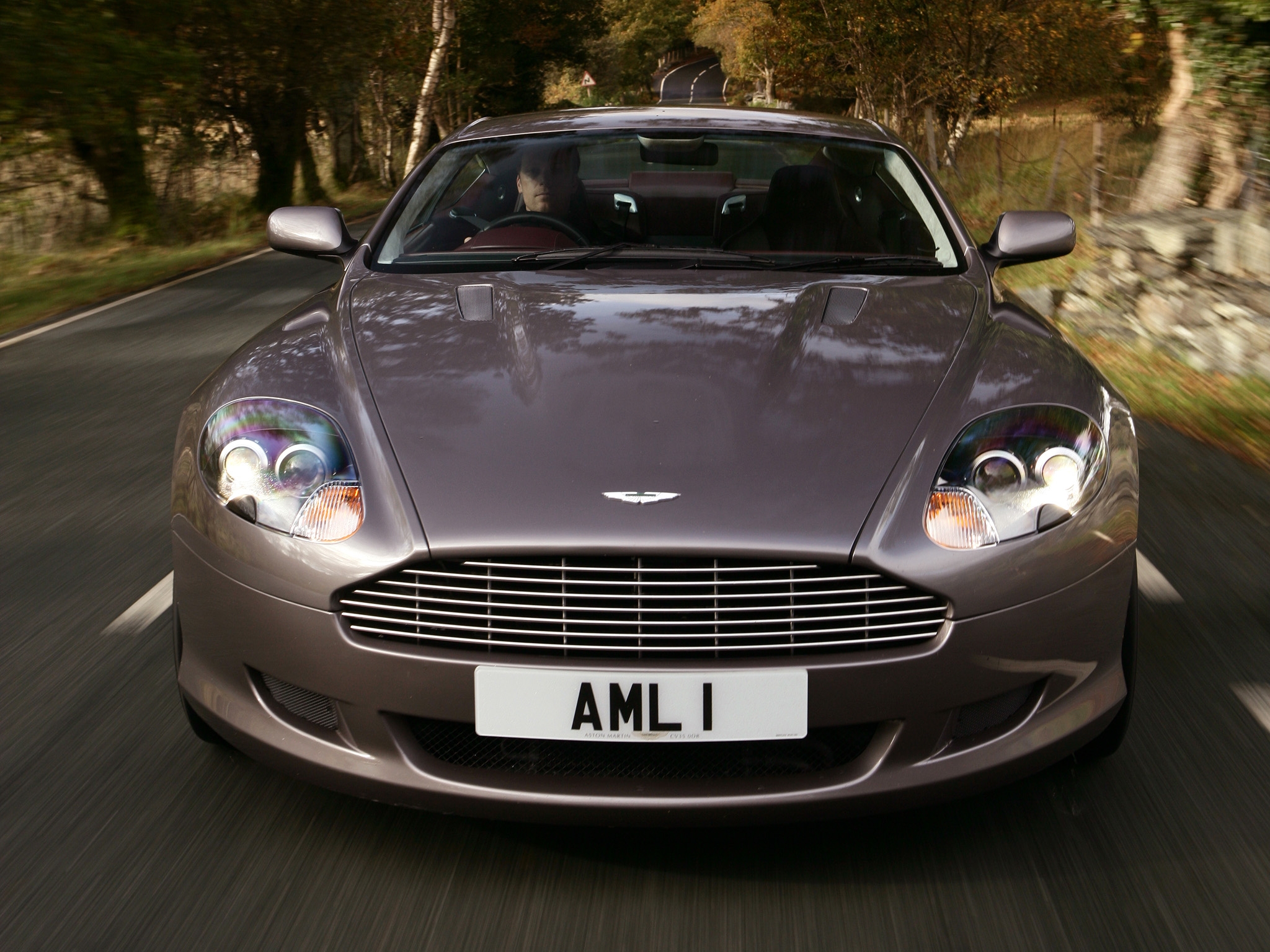 speed, sports, auto, trees, aston martin, cars, front view, grey, style, 2004, db9 2160p