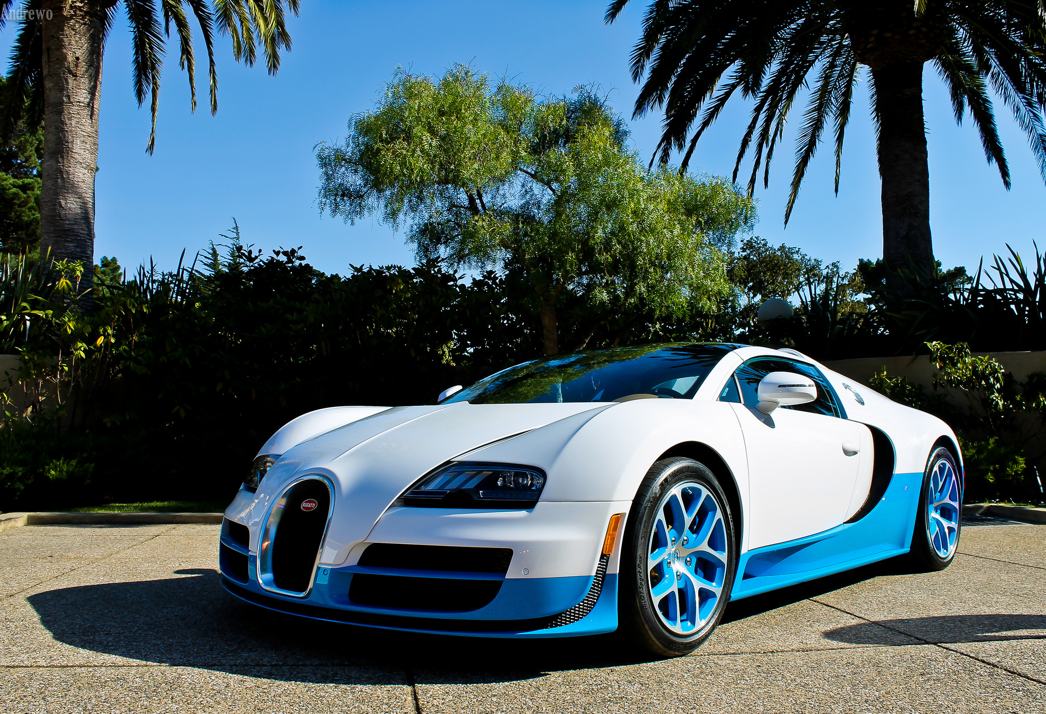 HD wallpaper palms, bugatti, cars, blue, veyron, vitesse