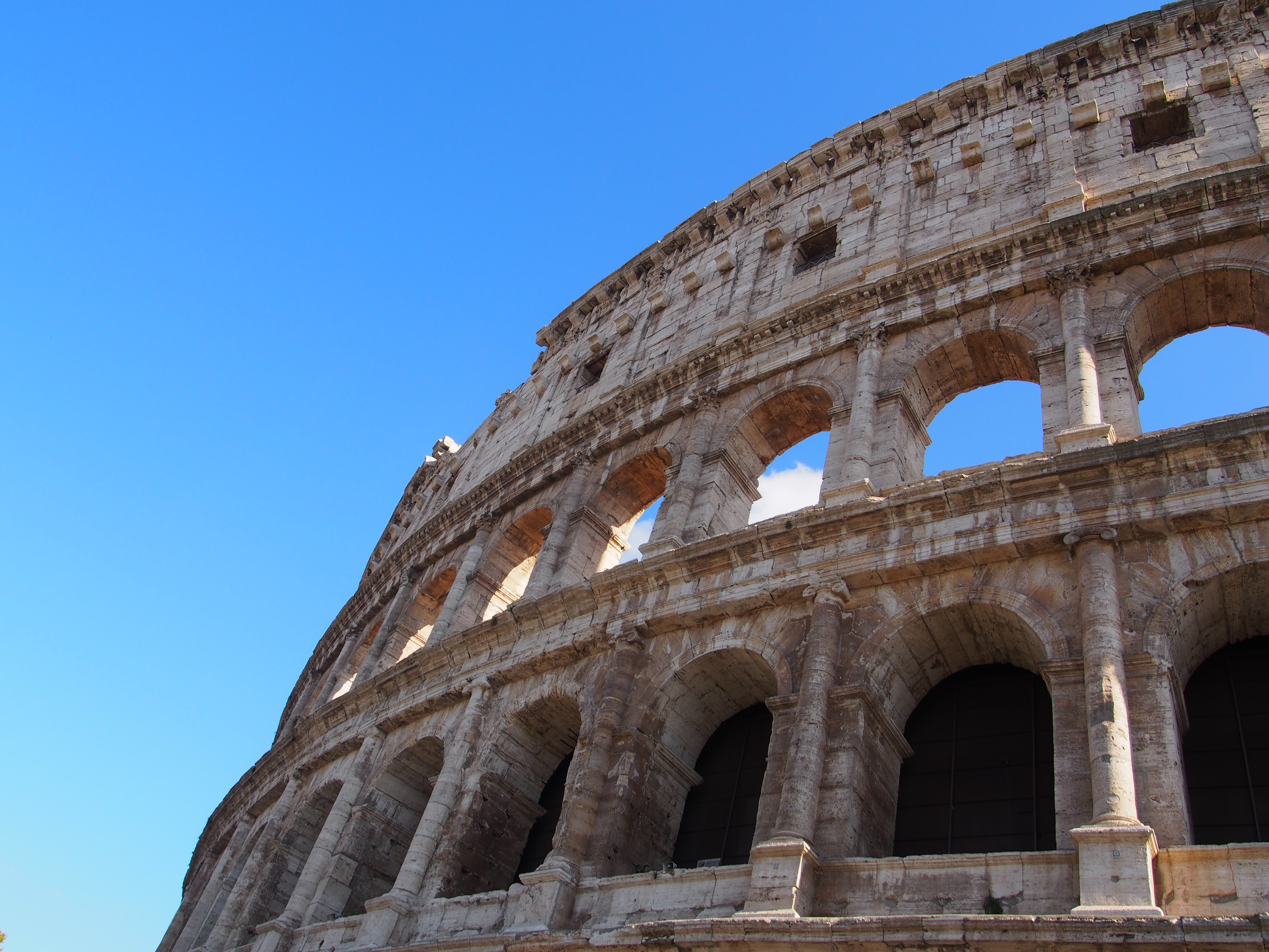 Colosseum Vertical Background