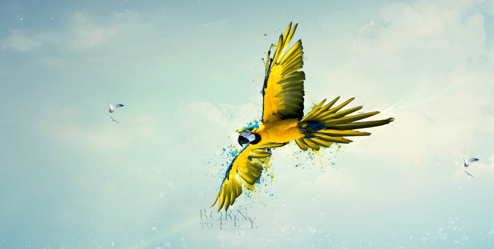 animal, cgi, blue and yellow macaw