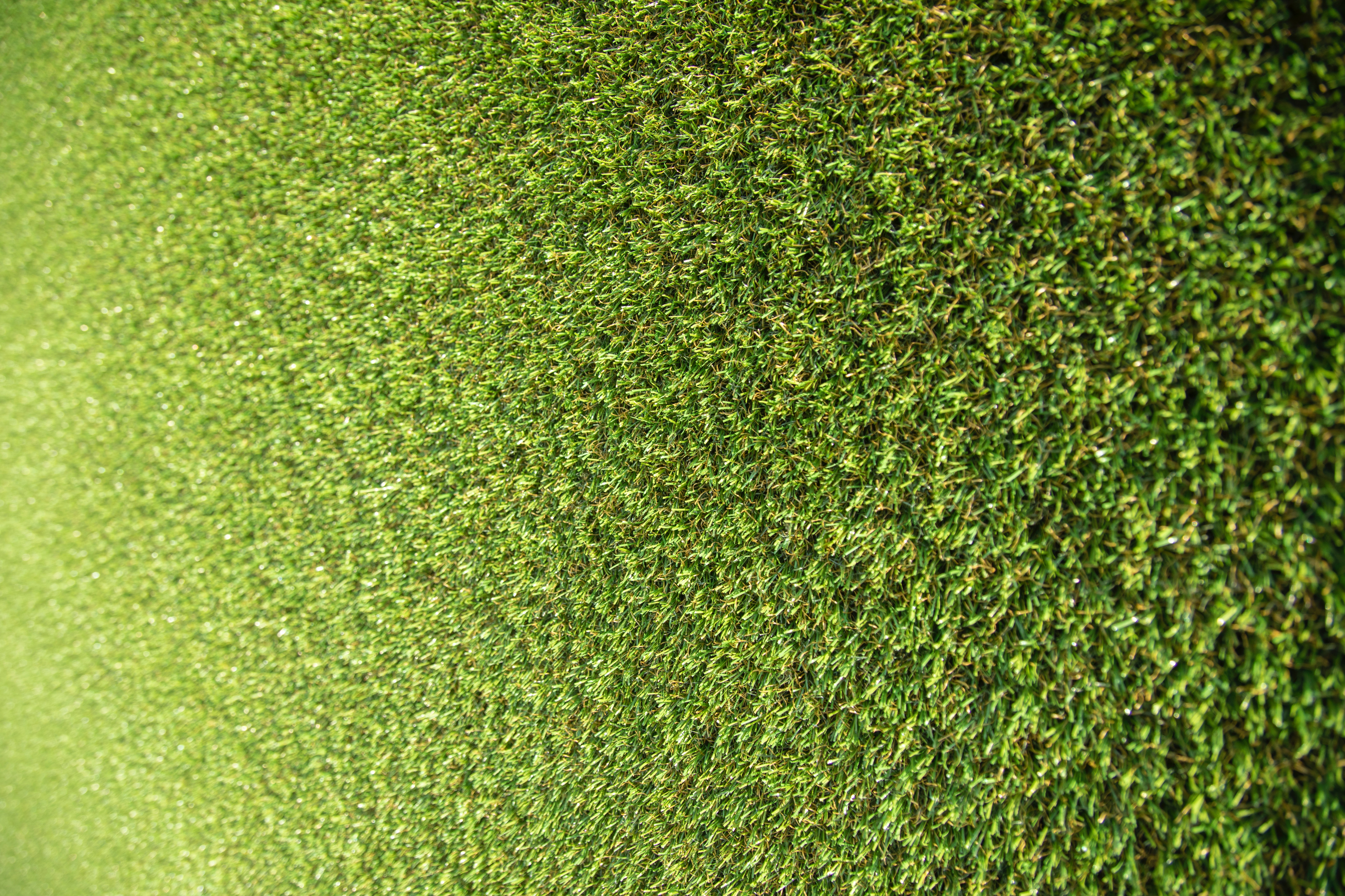 Handy-Wallpaper Natur, Grass, Stadion kostenlos herunterladen.