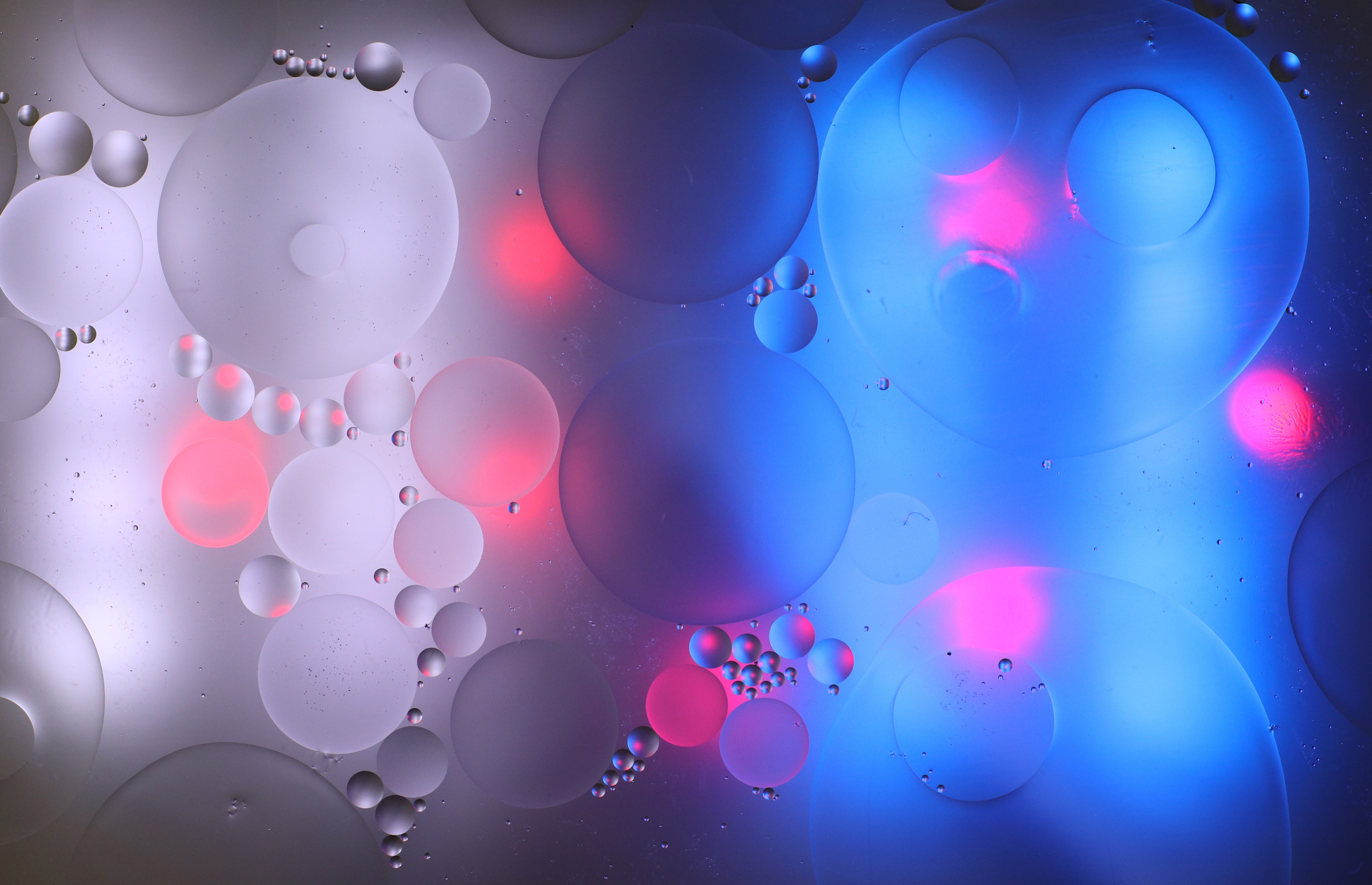 Bubbles  4k Wallpaper