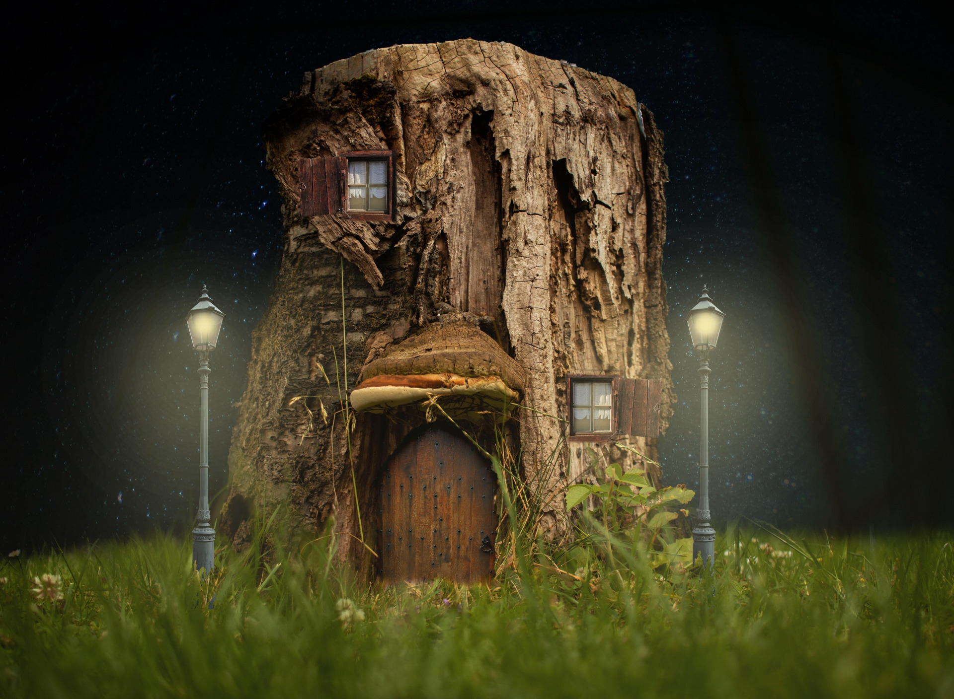 fantasy, house, door, stump 4K Ultra