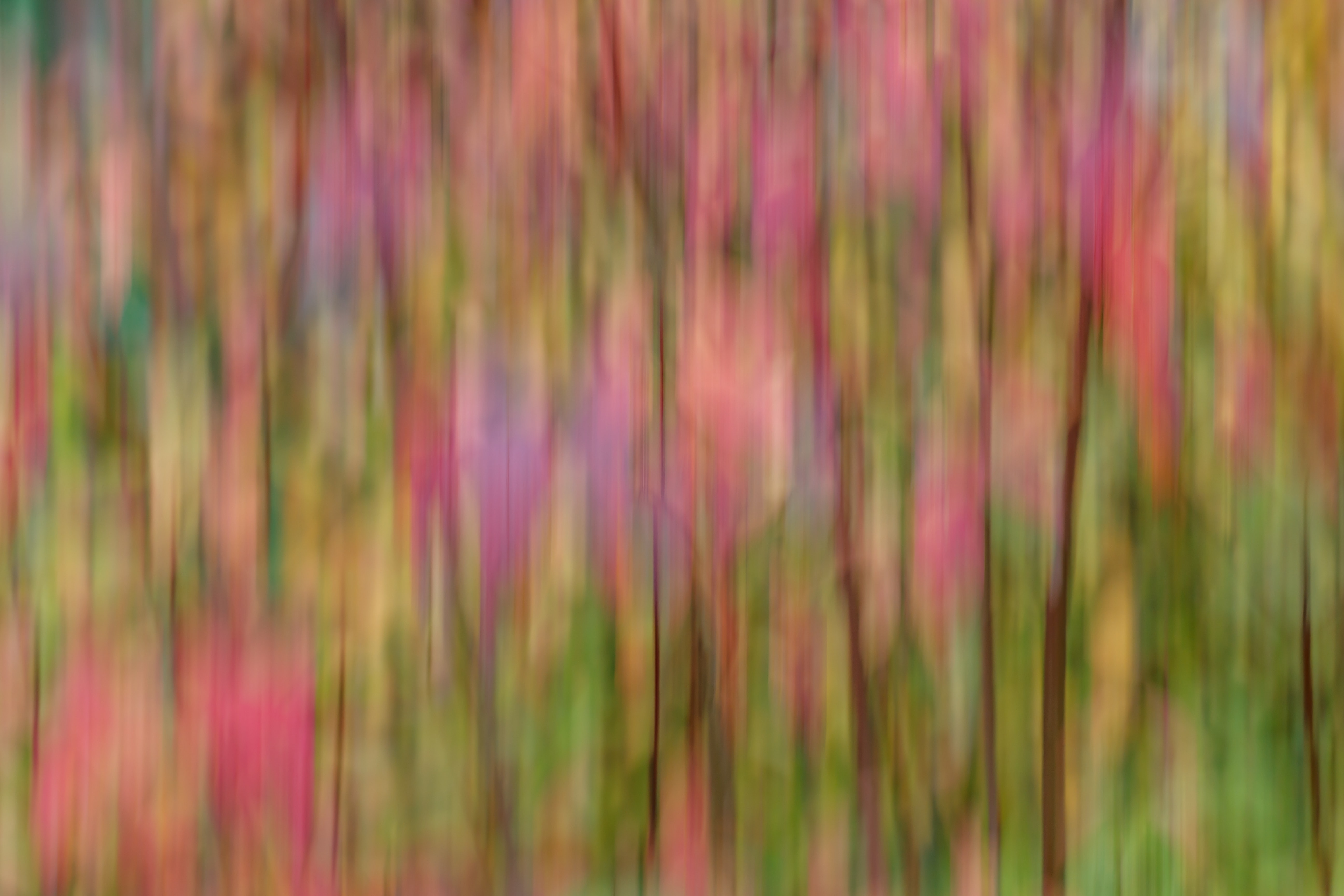 abstract, ripples, ripple, multicolored, motley, blur, smooth Full HD