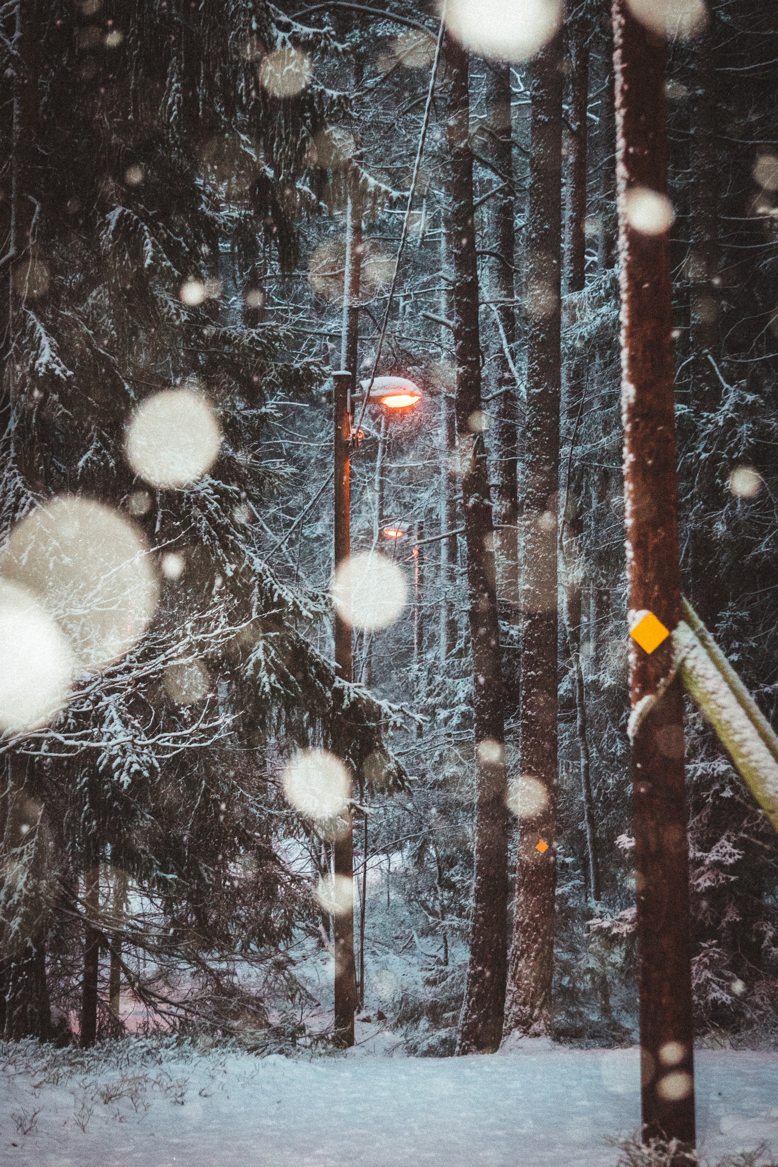 128419 скачать обои фонарь, зима, природа, деревья, снег - заставки и картинки бесплатно