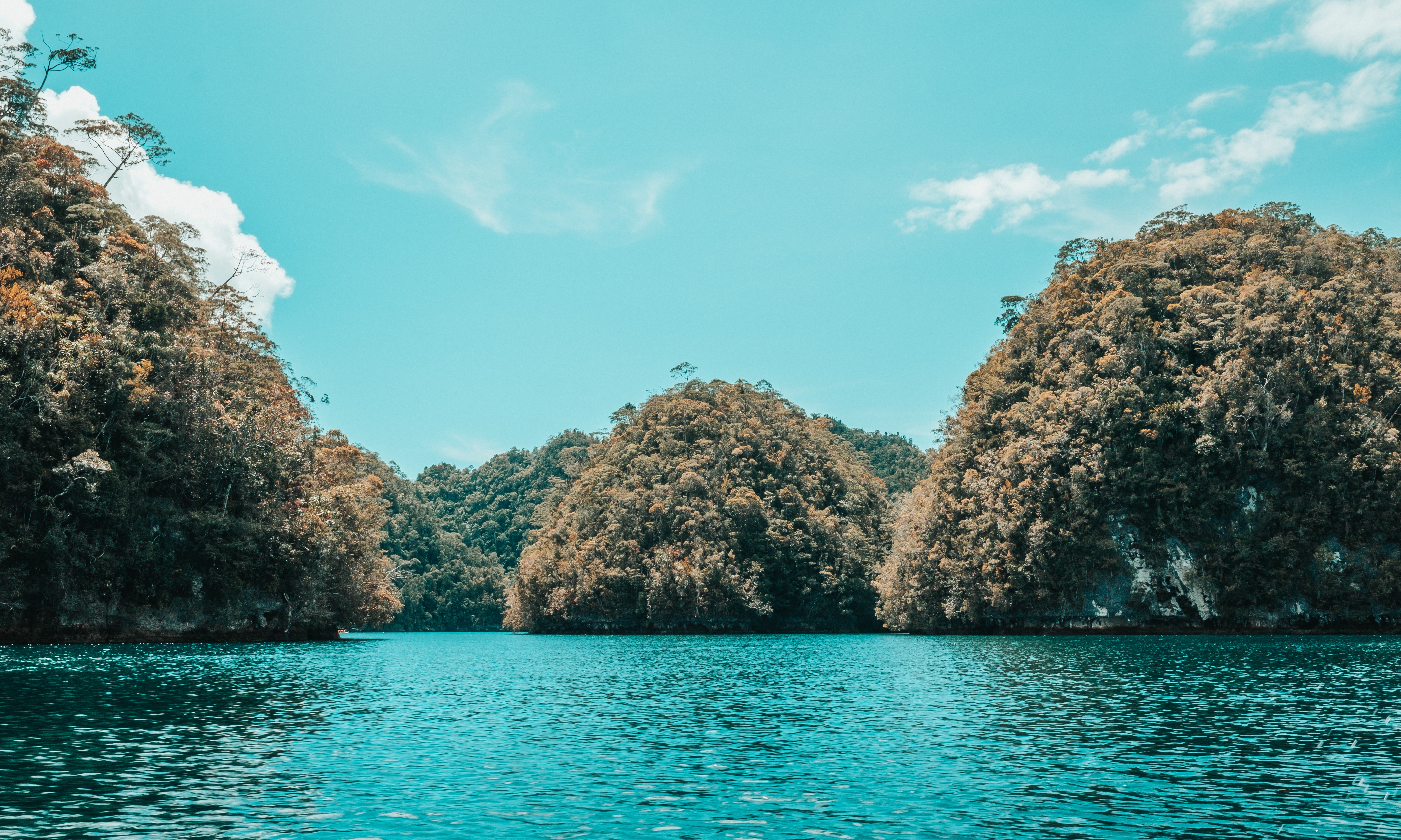 water, nature, trees, coast, islands download HD wallpaper