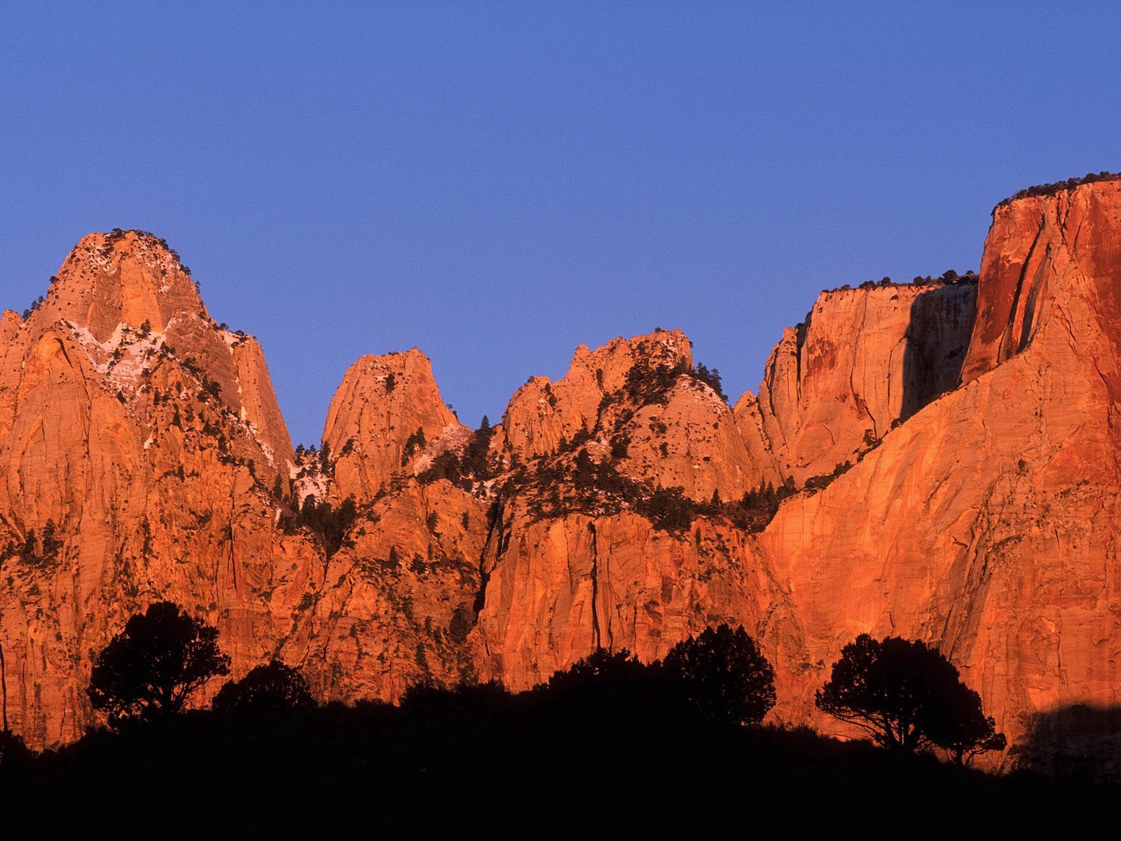 nature, trees, mountains, outlines, utah, canyons, zion, crimson rise 32K