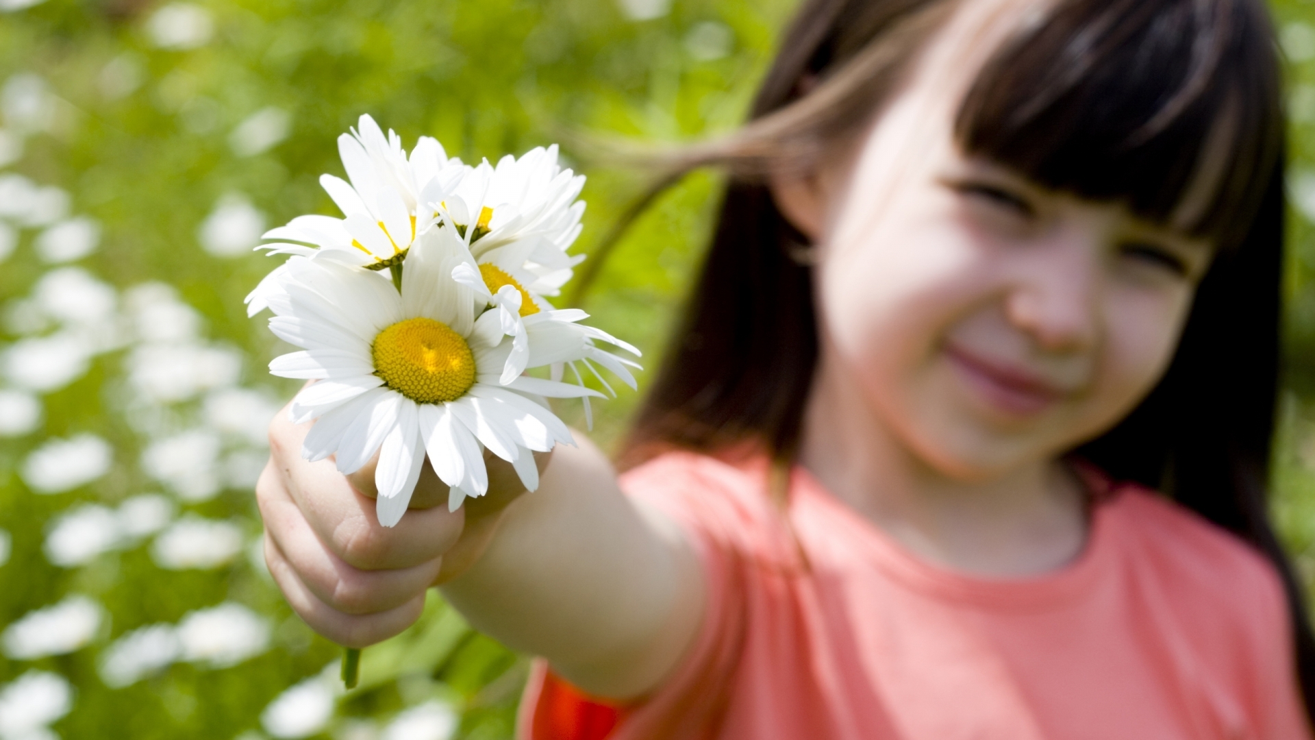 Handy-Wallpaper Blumen, Pflanzen, Kamille, Menschen, Kinder kostenlos herunterladen.