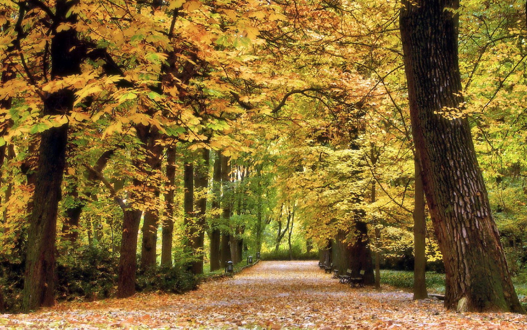 Download mobile wallpaper Trees, Landscape, Nature, Autumn for free.