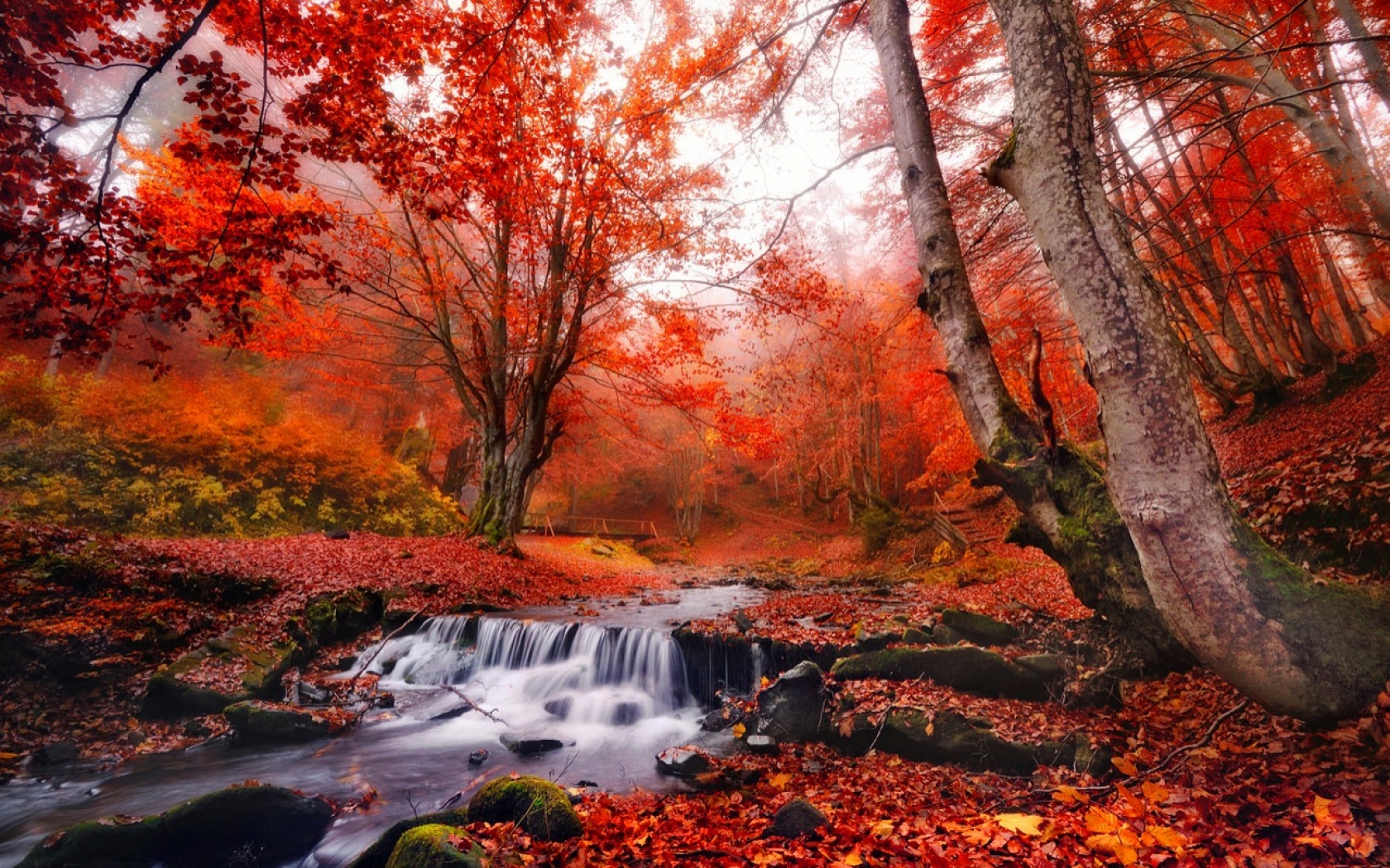 HD desktop wallpaper: Waterfall, Forest, Tree, Fall, Earth download free  picture #1501654