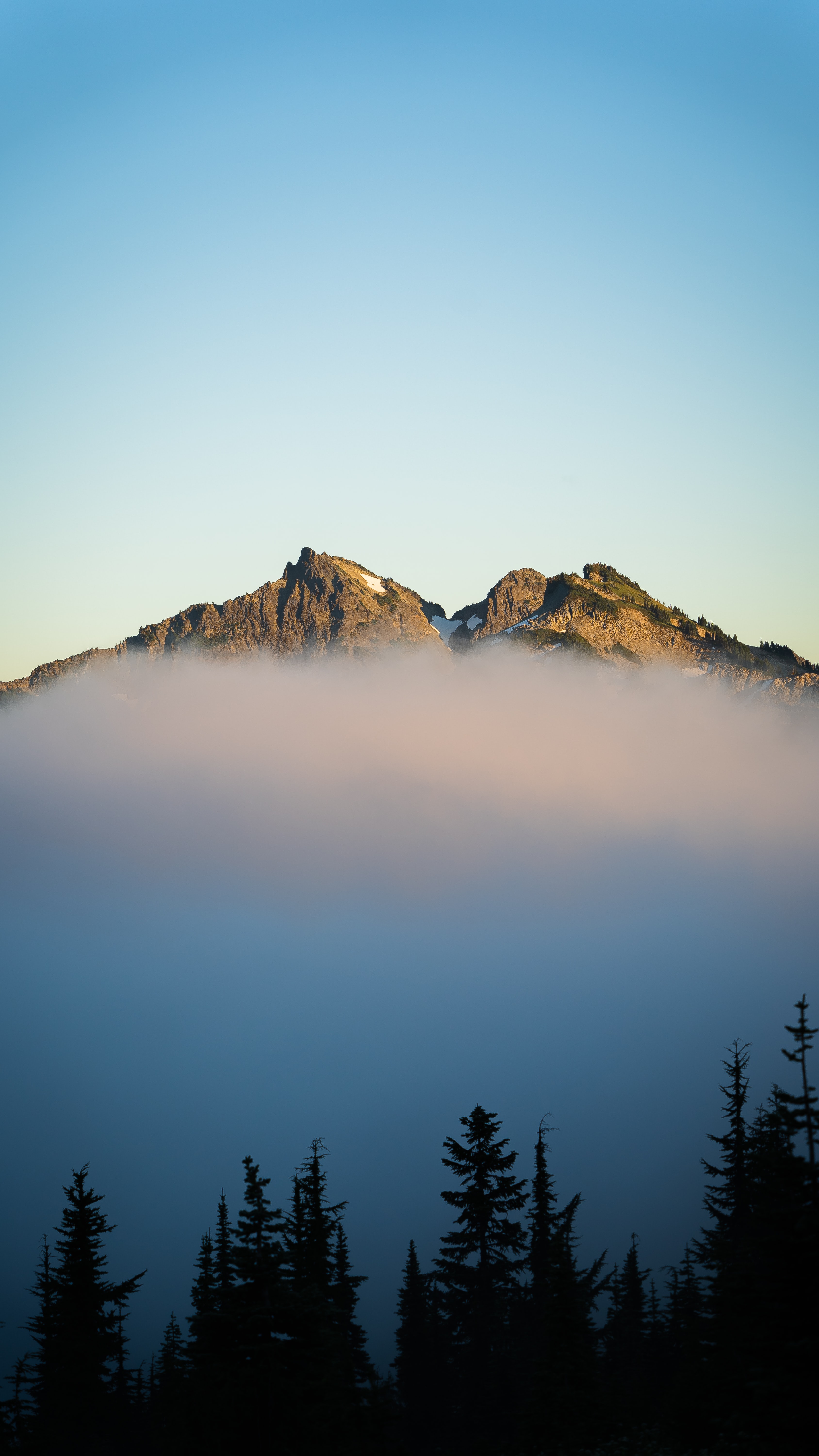 fir, nature, sky, mountains, fog, spruce 5K
