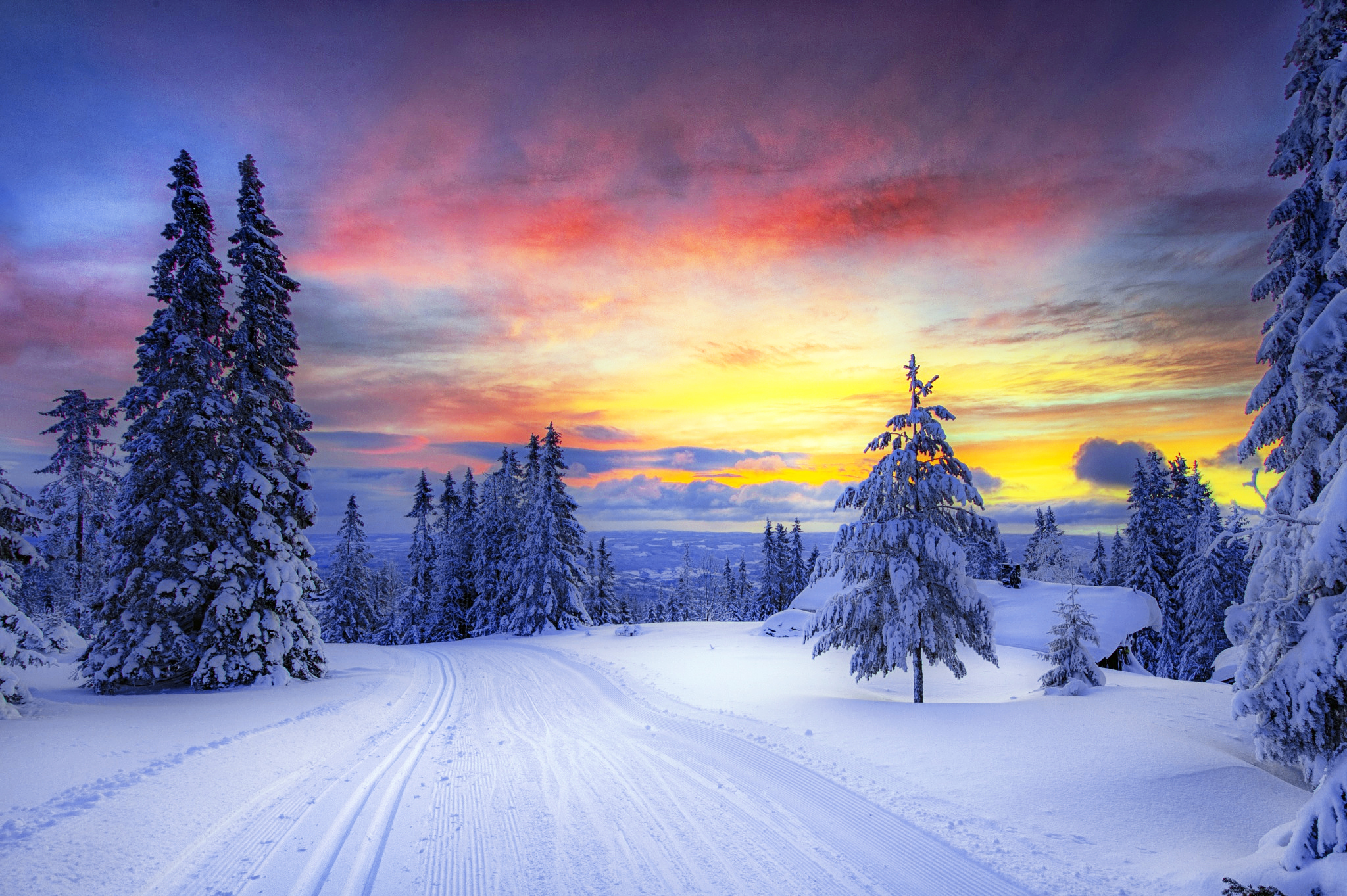 snow, trees, norway, winter, nature, forest High Definition image