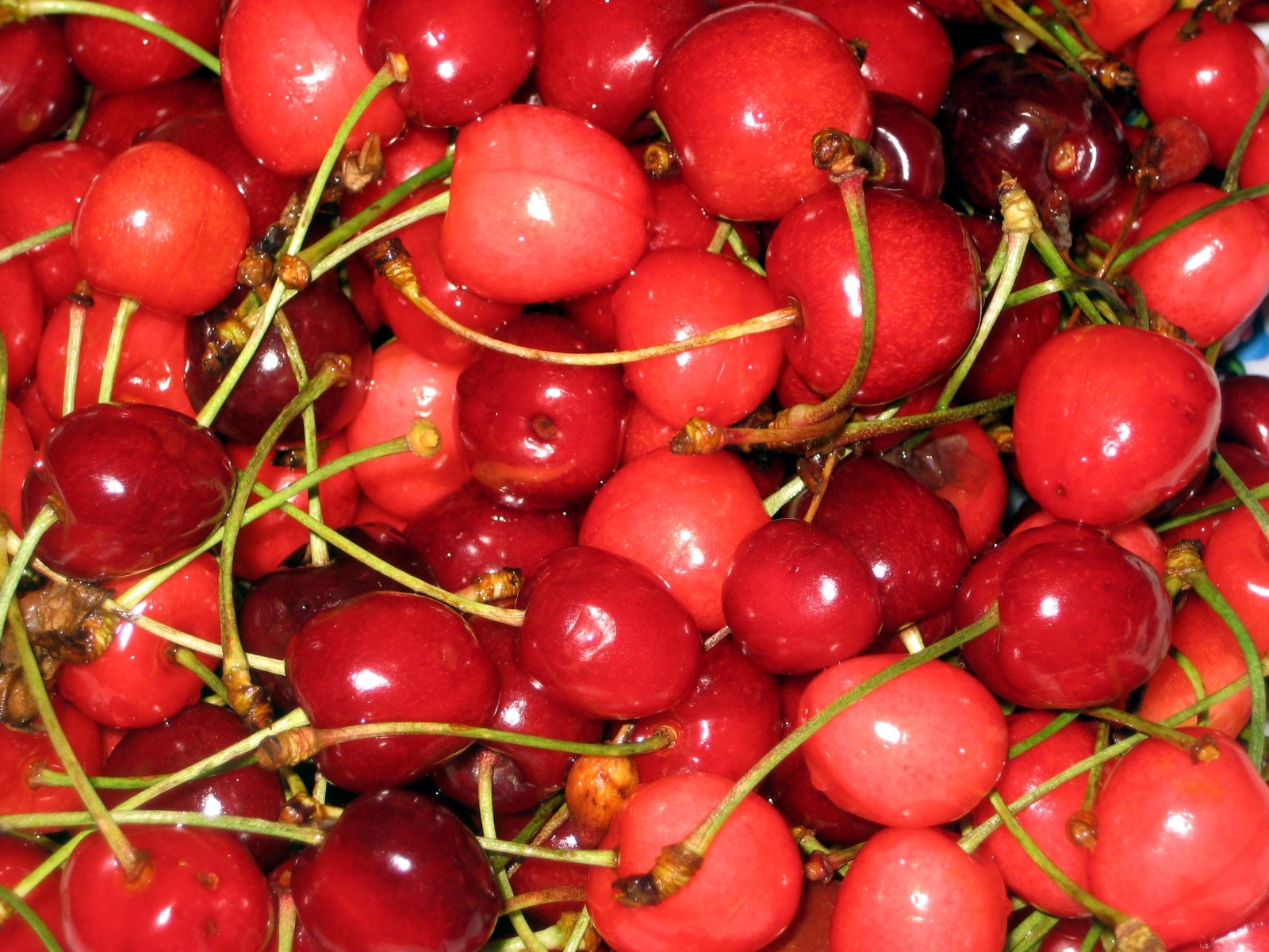Laden Sie das Obst, Kirsche, Lebensmittel, Berries, Hintergrund-Bild kostenlos auf Ihren PC-Desktop herunter