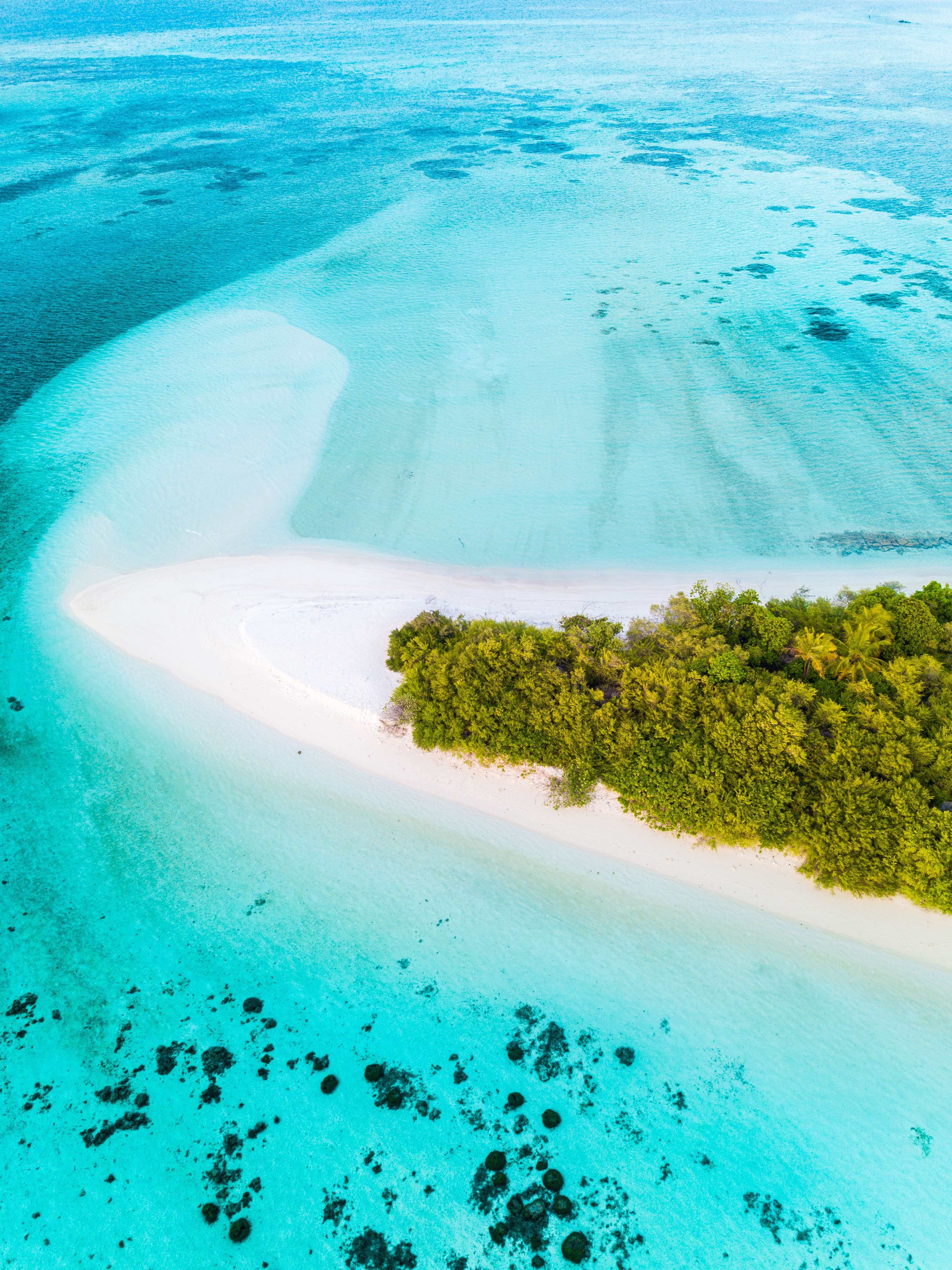 Laden Sie das Die Insel, Palms, Ozean, Insel, Natur, Blick Von Oben, Tropen, Strand-Bild kostenlos auf Ihren PC-Desktop herunter