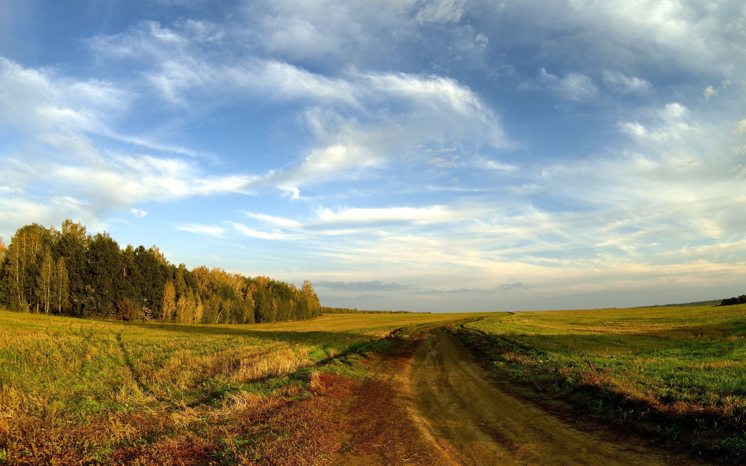 road, nature, landscape, trees, sky, clouds, blue, horizon, field, country, open spaces, expanse, countryside HD wallpaper