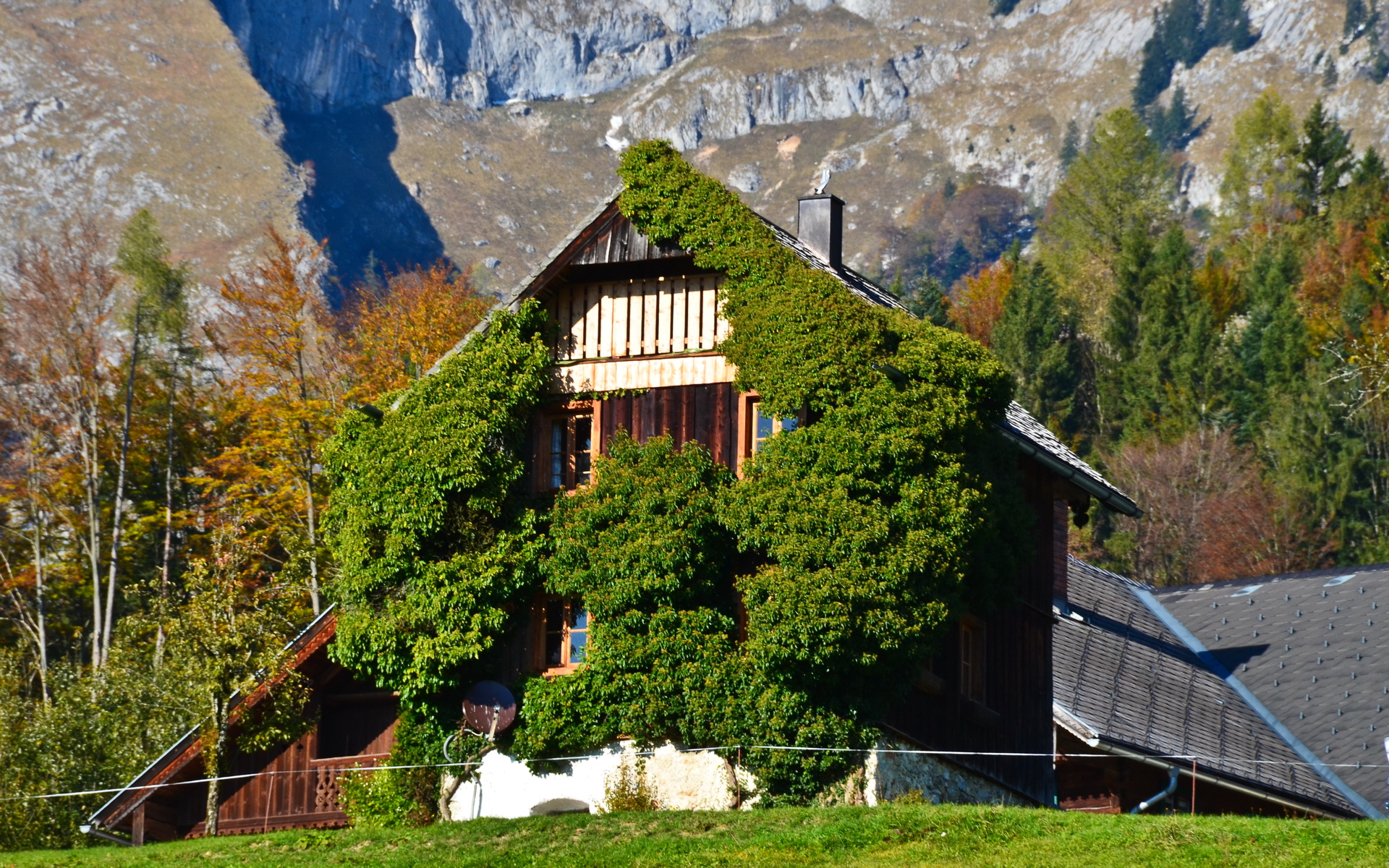 Домик в швейцарских Альпах 19 века