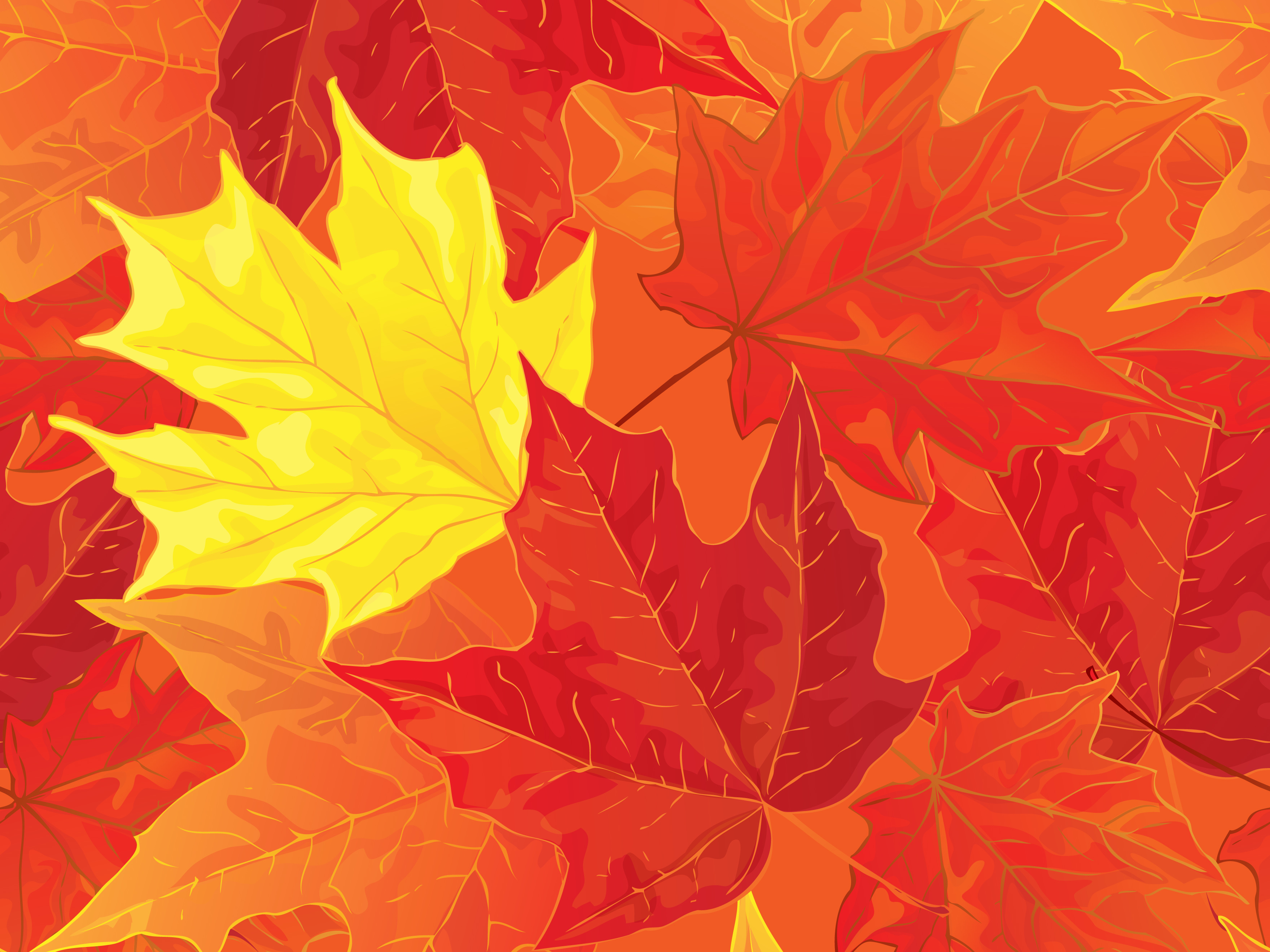 artistic, leaf, fall, maple leaf