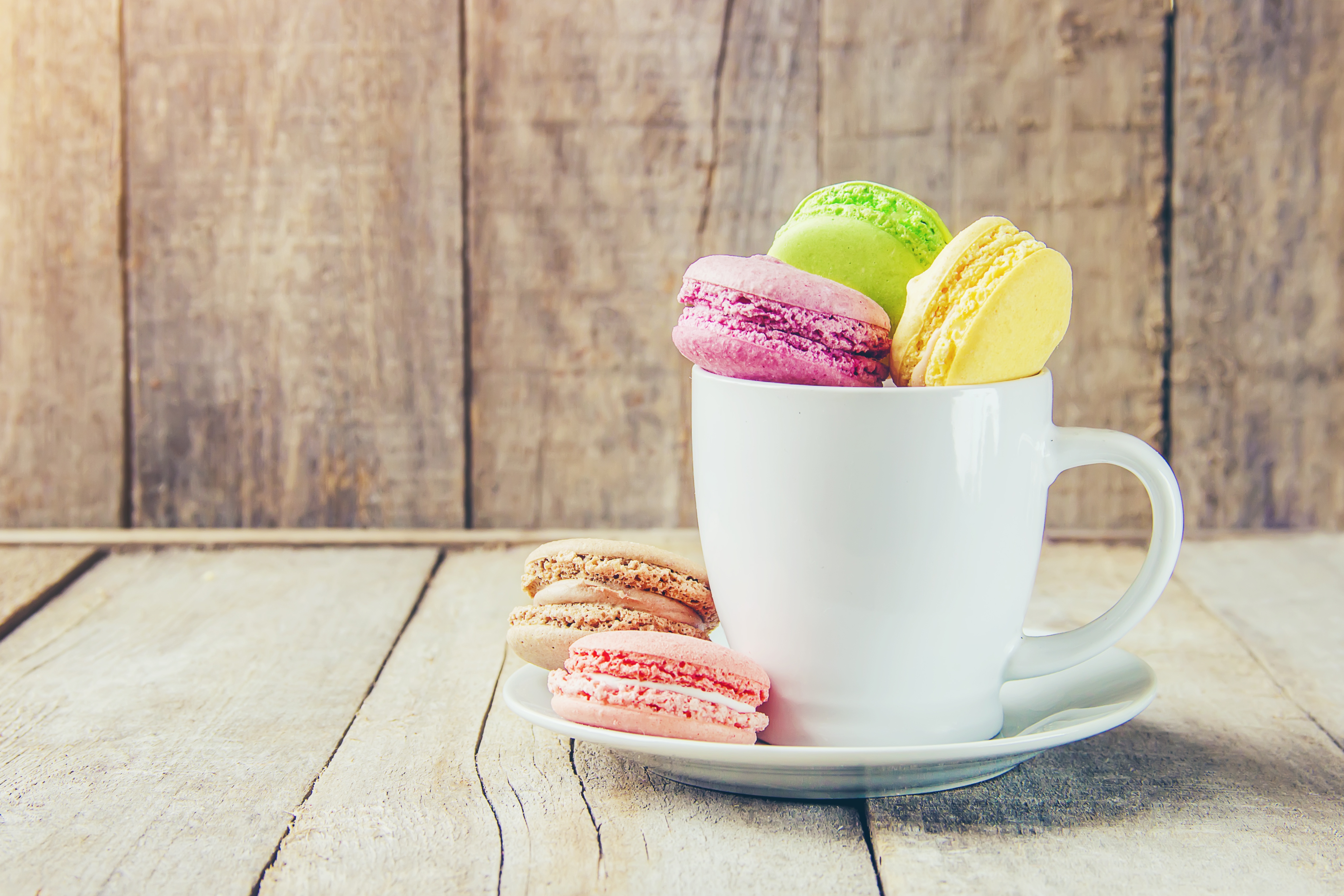 Download mobile wallpaper Food, Still Life, Cup, Sweets, Macaron for free.