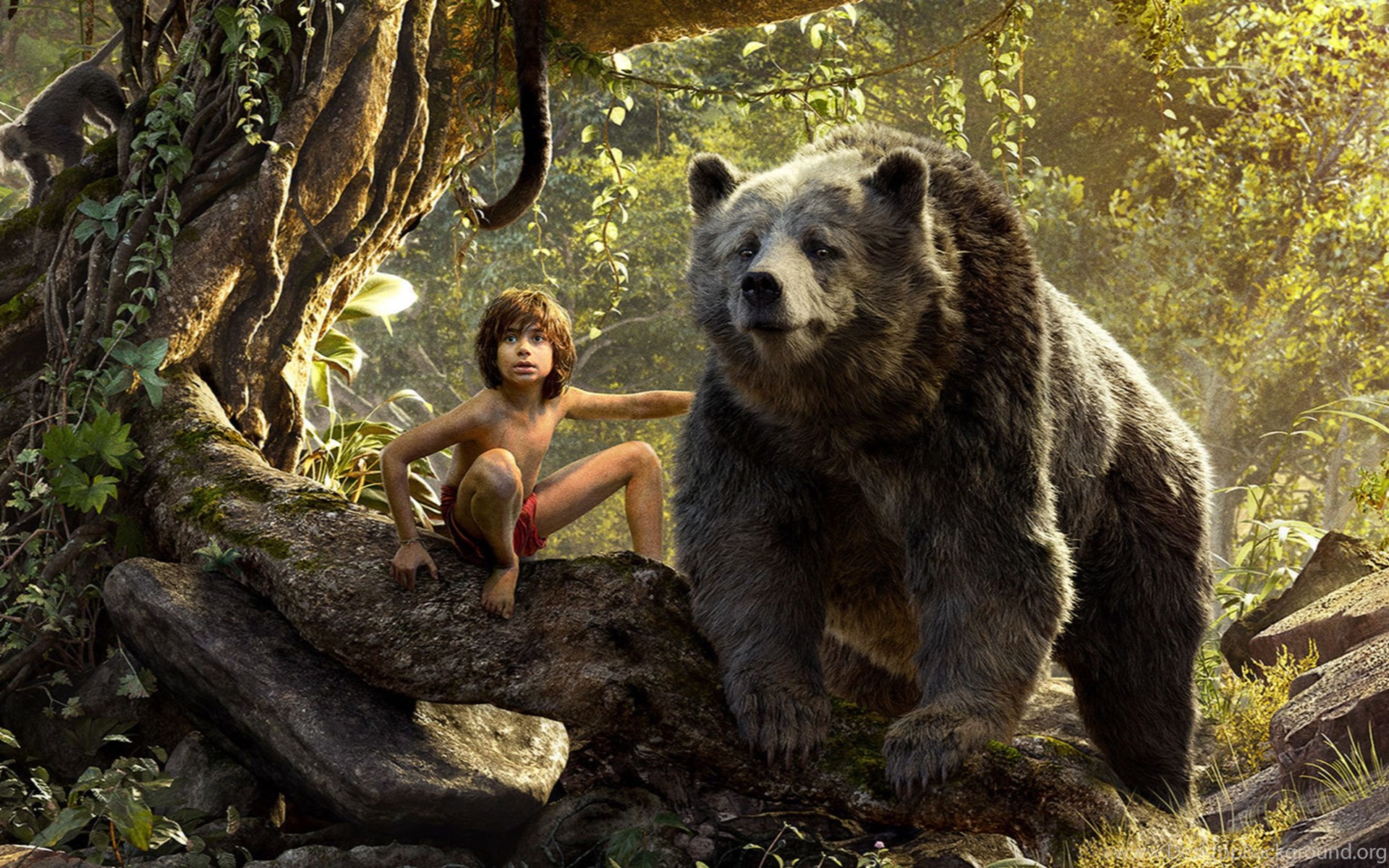 movie, the jungle book (2016), bear, mowgli, the jungle book