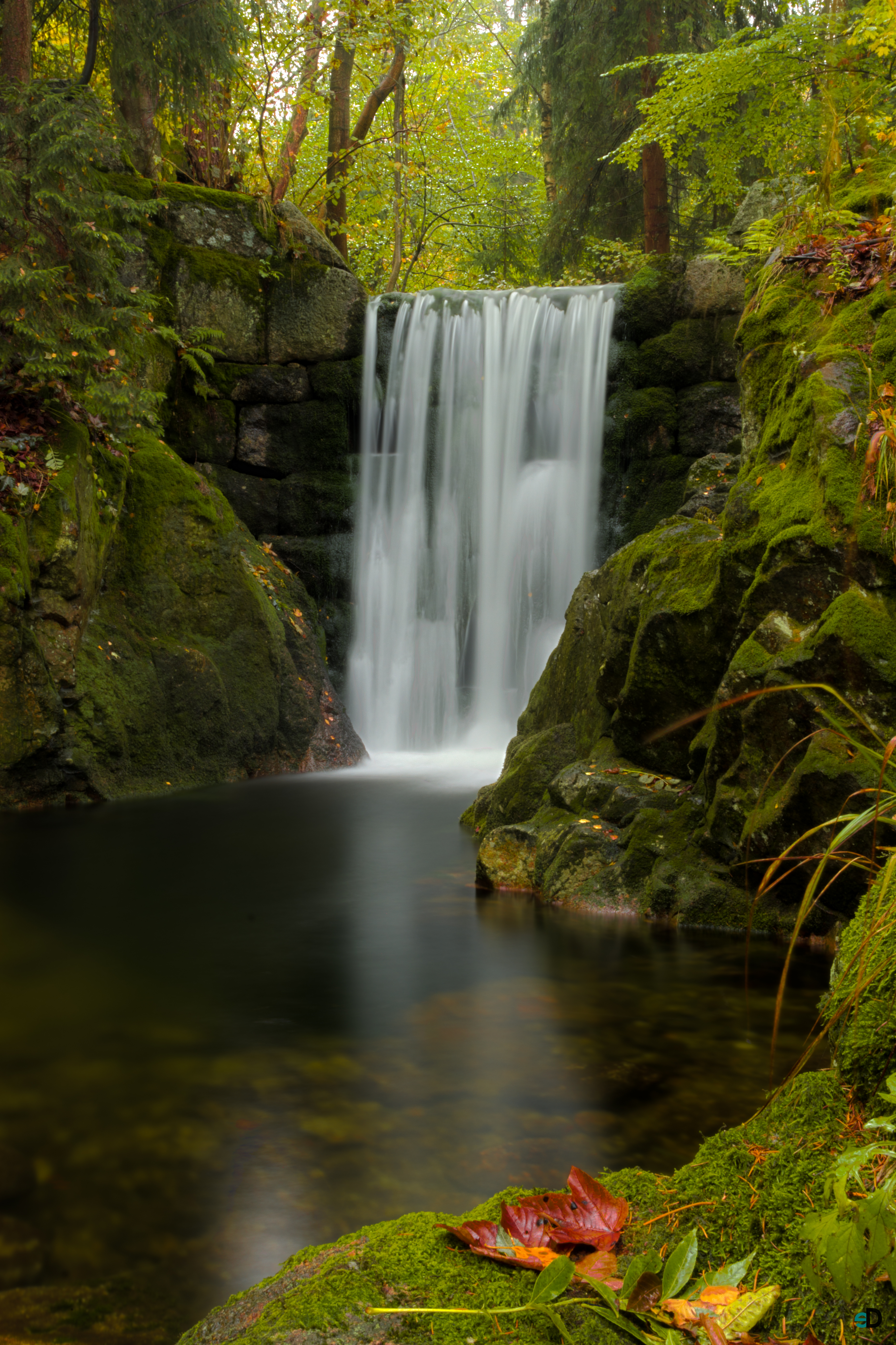 waterfall, water, nature, plants, leaves, moss