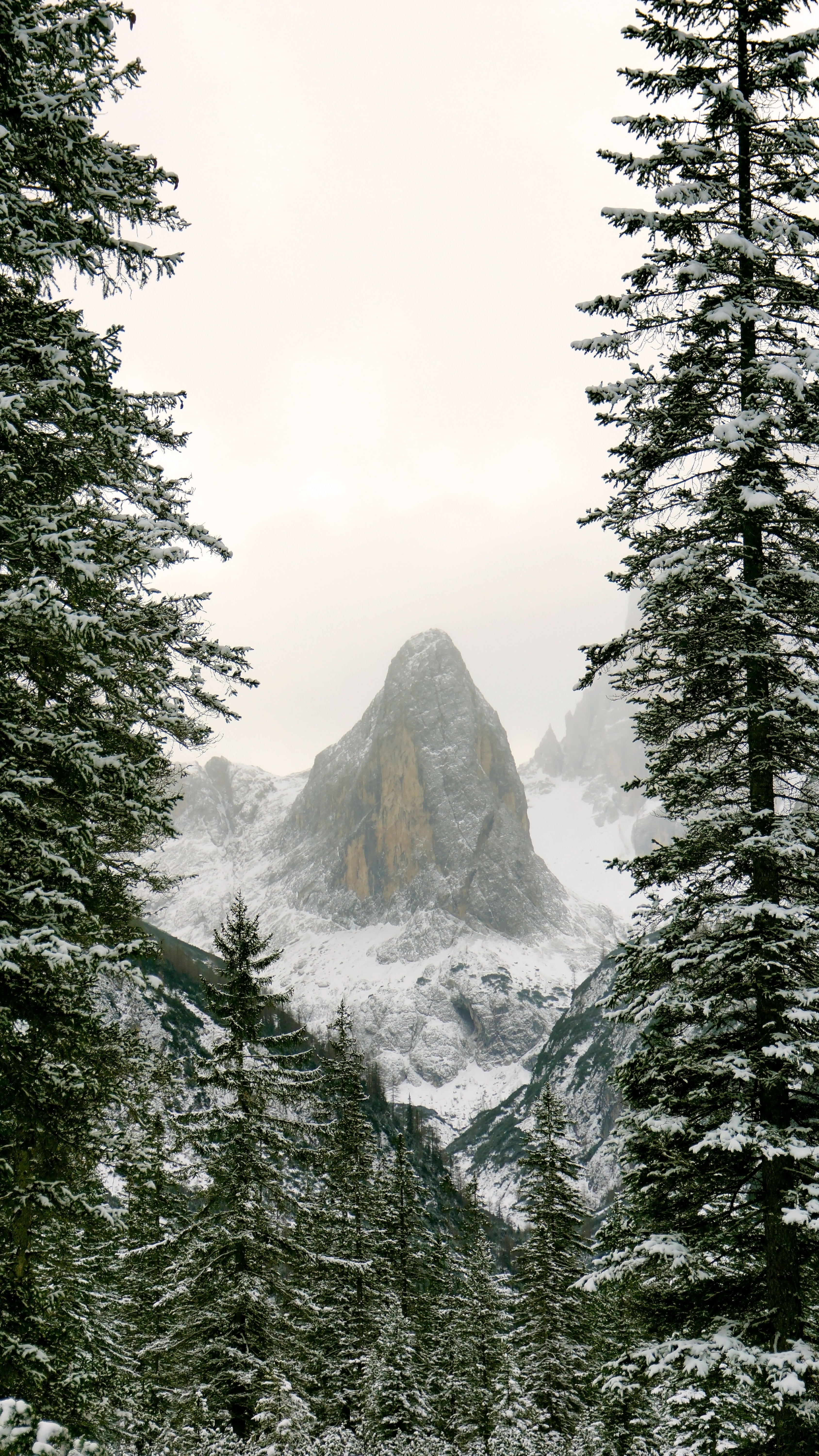 68309 Hintergrundbild herunterladen hill, natur, schnee, berg, geäst, zweige, hügel - Bildschirmschoner und Bilder kostenlos
