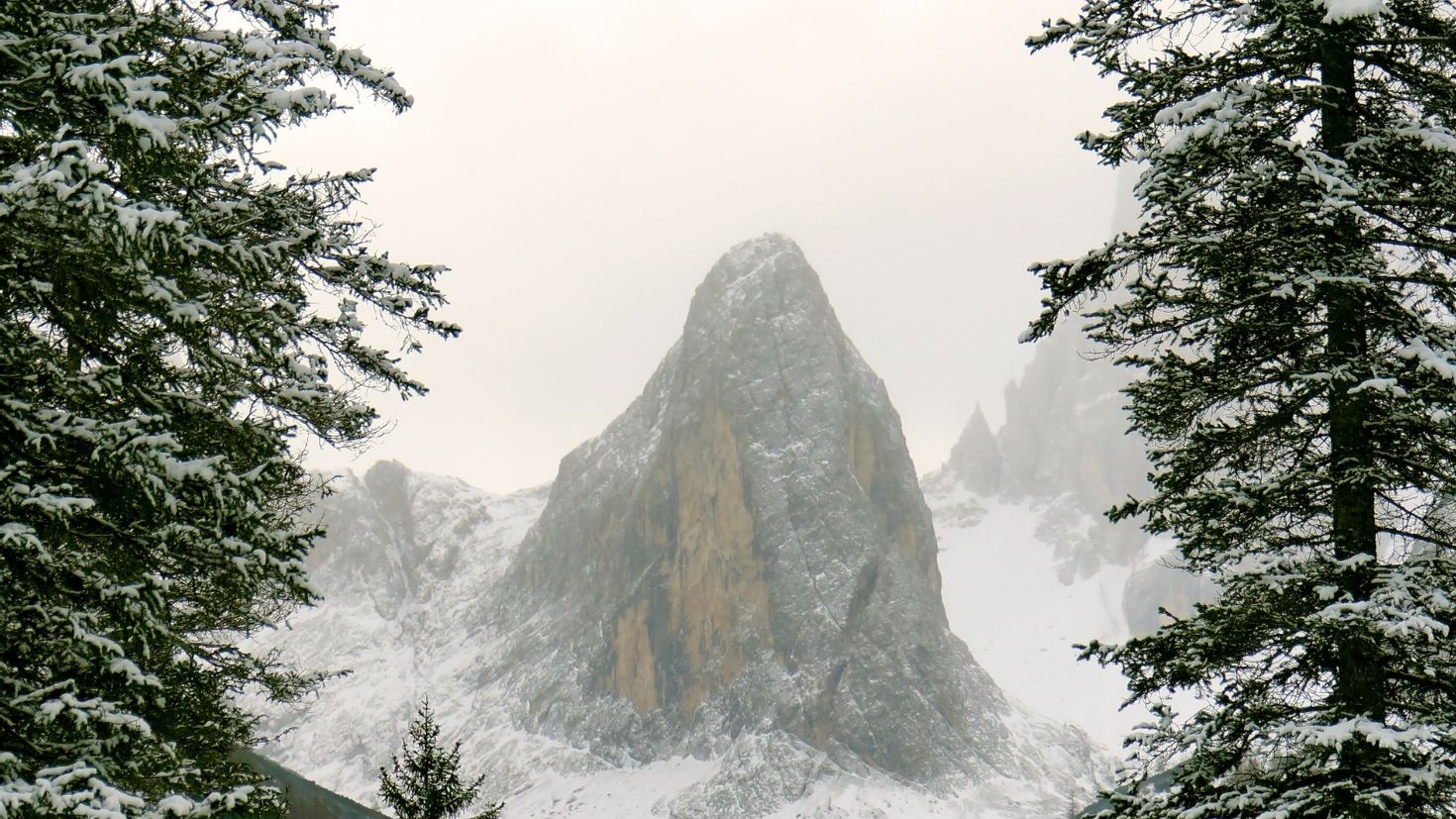 Mountain branch. Горы в снегу Эстетика. Горы Ближний ракурс. Снежная Эстетика 4 к. Зеленые ели снег горы обои пасмурно.