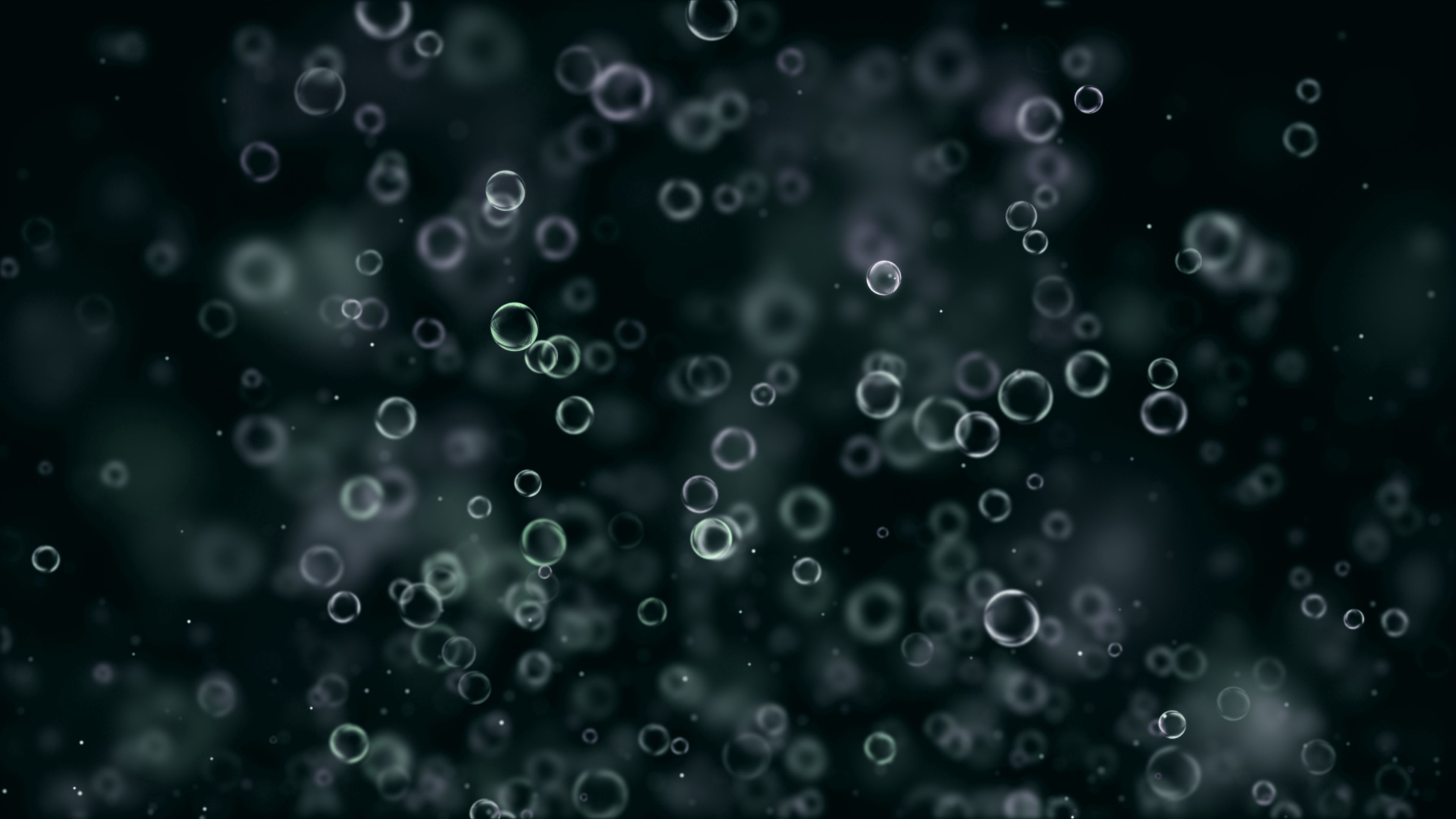 Download mobile wallpaper Circles, Black Background, Abstract for free.
