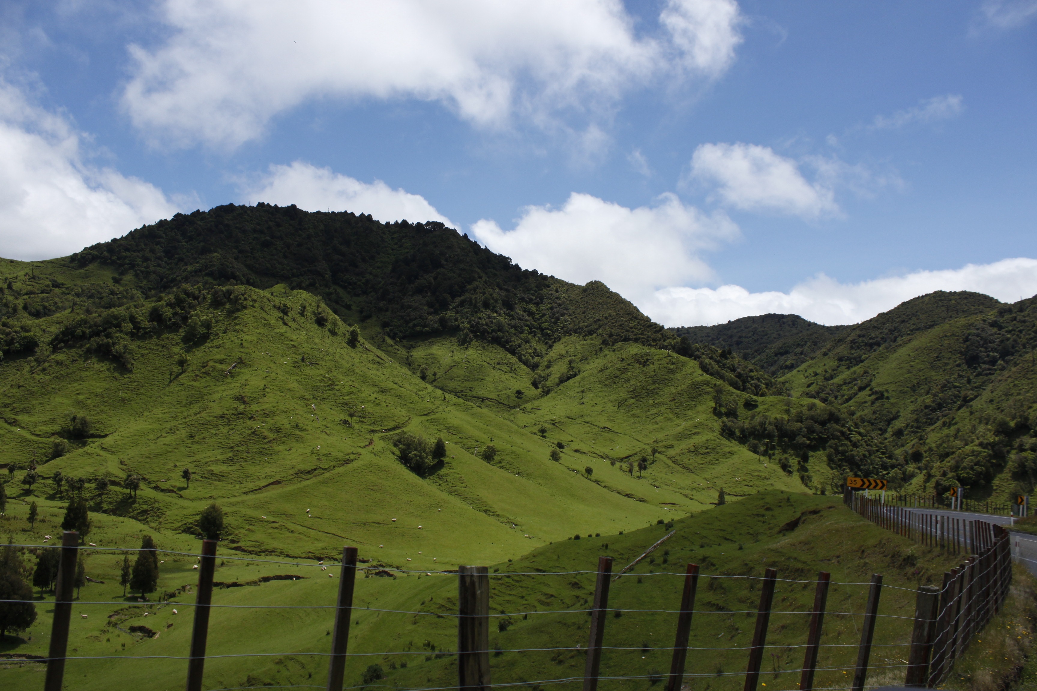 Handy-Wallpaper Hügel, Hill, Grass, Mountains, Natur, Neuseeland kostenlos herunterladen.