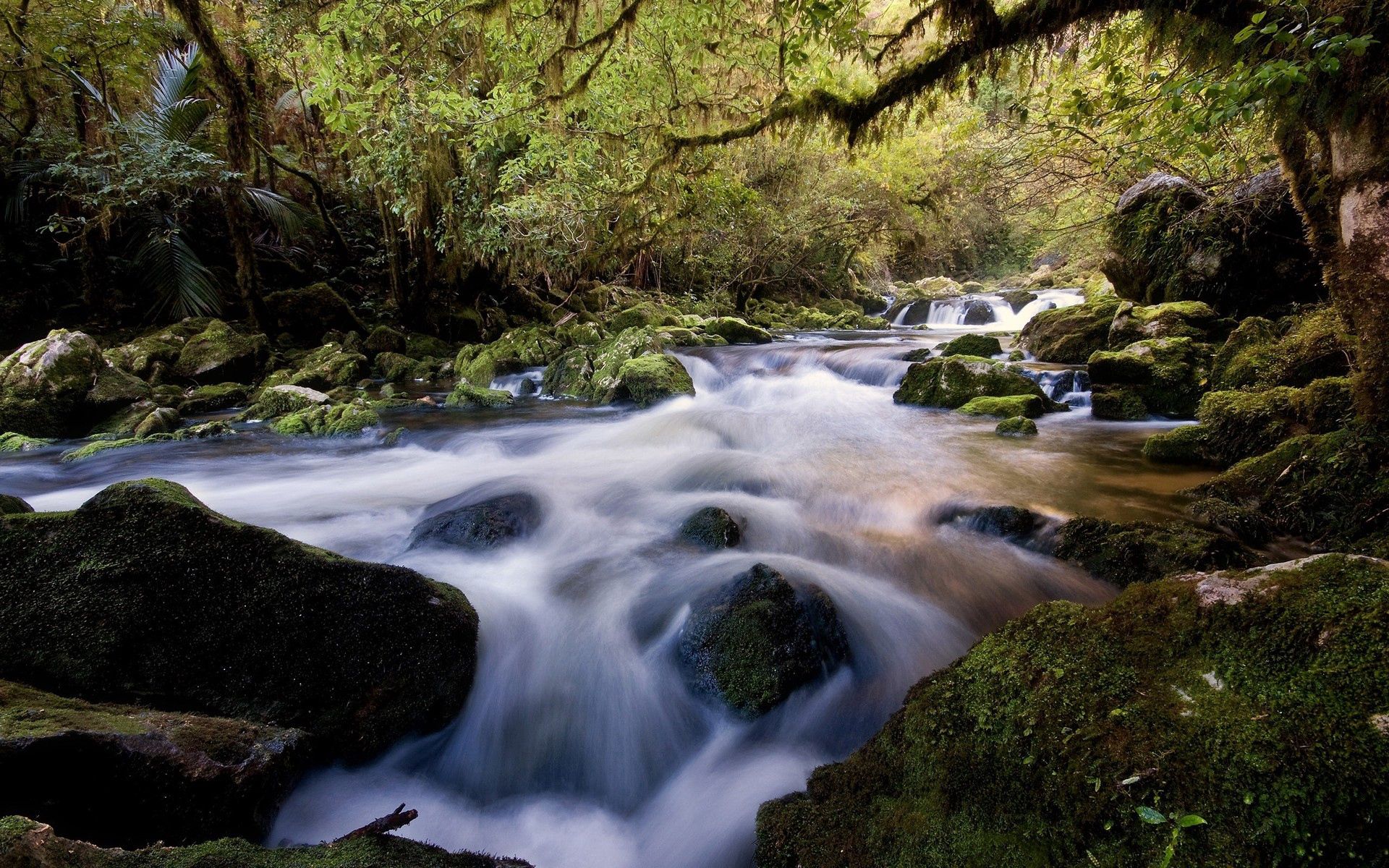 Laden Sie das Natur, Stones, Wald, Vegetation, Fließen, Moos, Moss, Stream, Wasser, Flüsse-Bild kostenlos auf Ihren PC-Desktop herunter