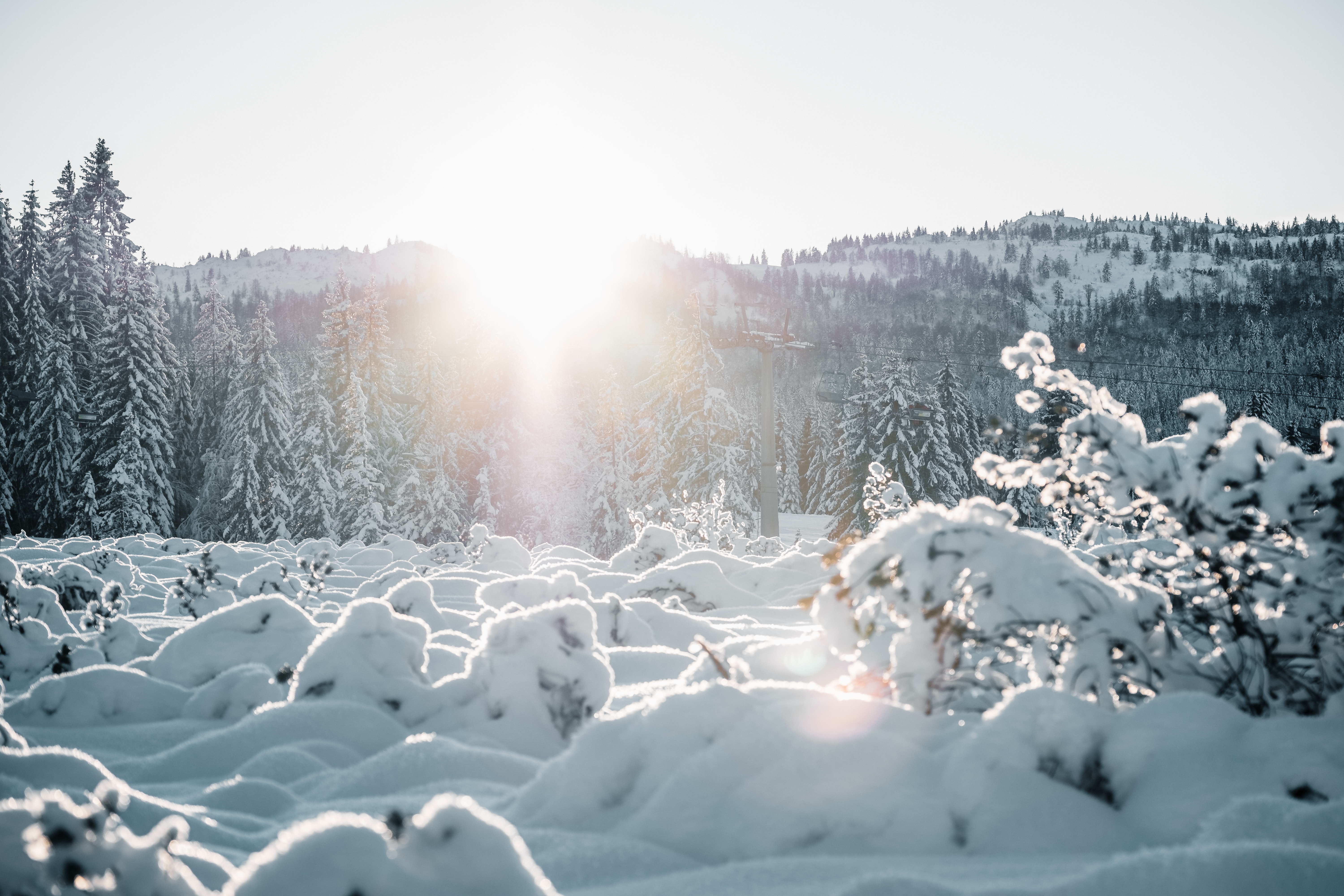 Скачать картинку Снег, Деревья, Зима, Пейзаж, Природа, Солнце в телефон бесплатно.