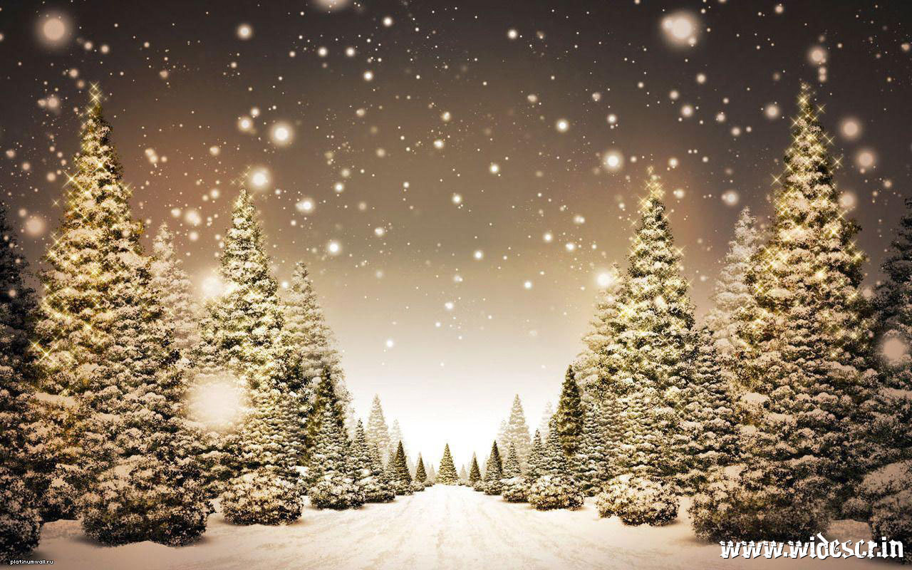 Download mobile wallpaper Snow, Winter, Fir Trees, Landscape for free.