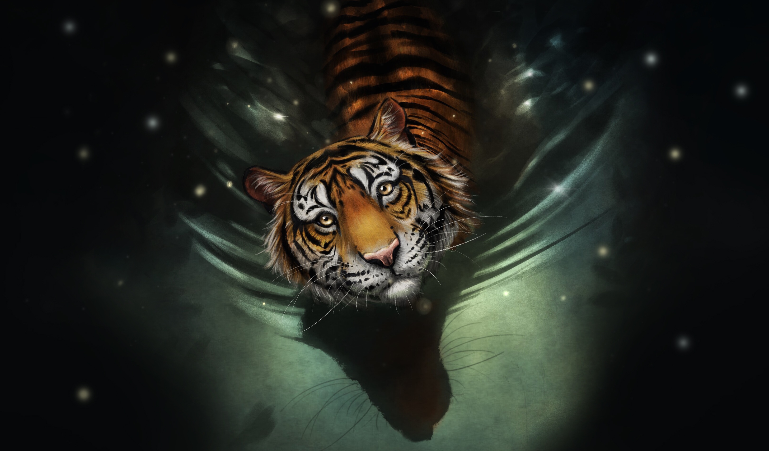 Тигр 2022