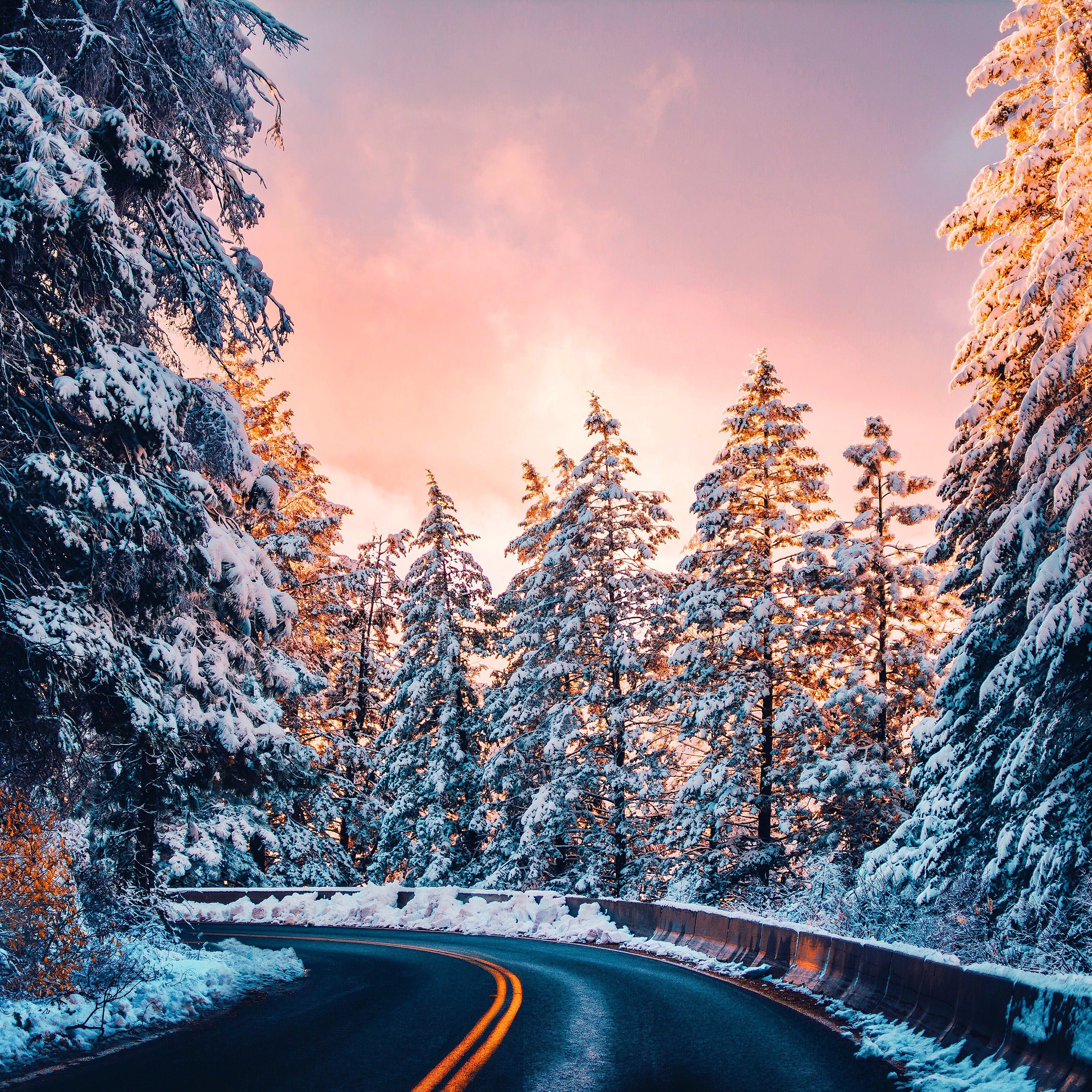 Laden Sie das Drehen, Wende, Straße, Bäume, Schnee, Sunset, Natur-Bild kostenlos auf Ihren PC-Desktop herunter