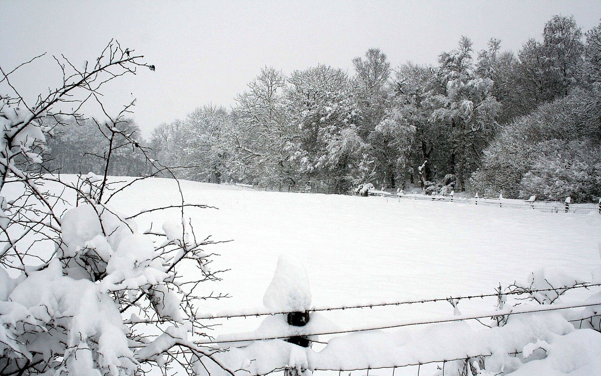 winter, nature, trees, snow, park, fence, drifts Aesthetic wallpaper