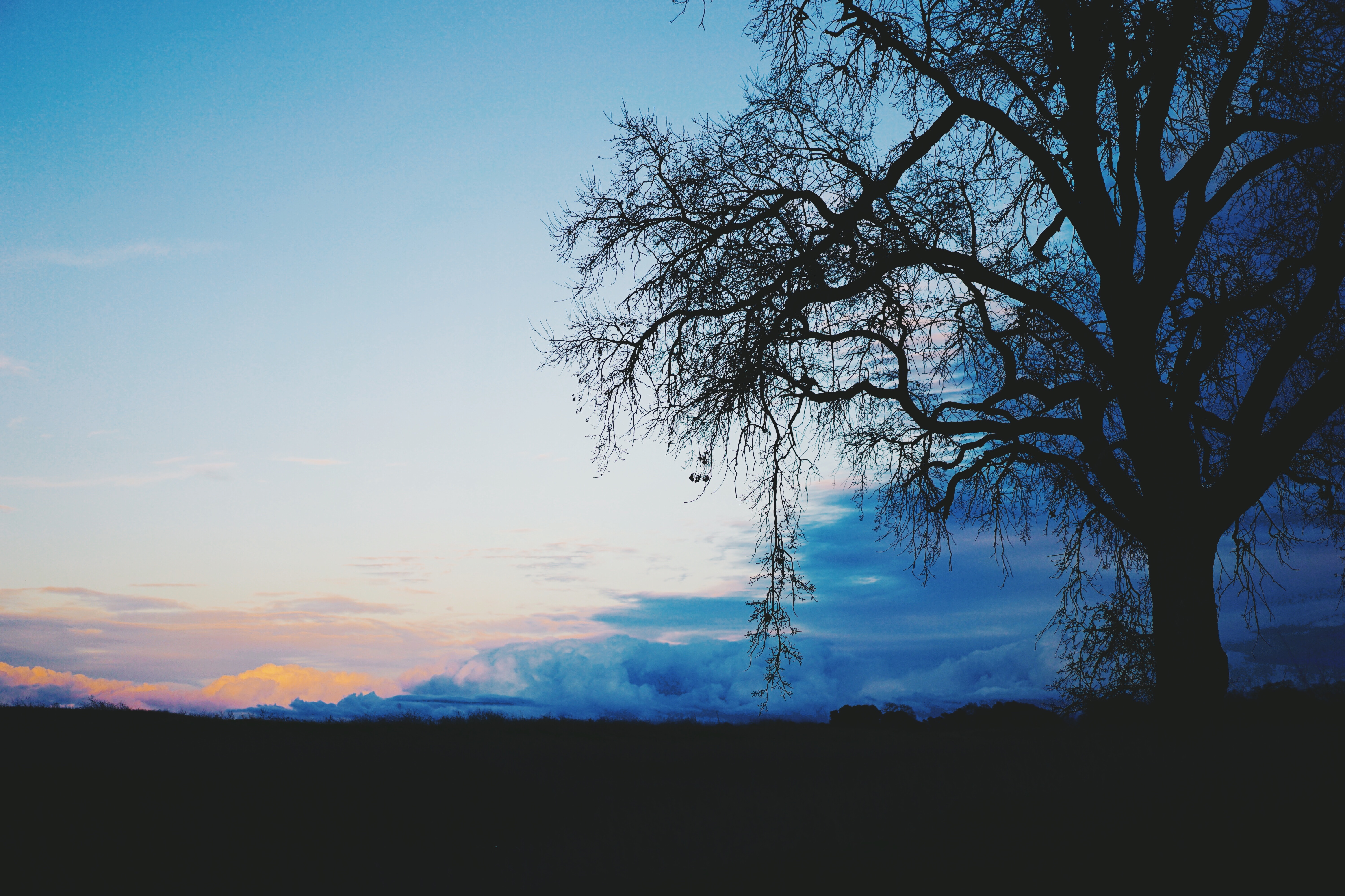 Download mobile wallpaper Clouds, Wood, Dusk, Tree, Twilight, Nature, Evening, Dark for free.