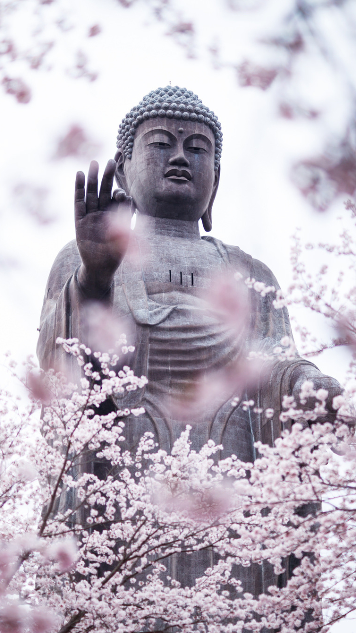 1302168 免費下載壁紙 宗教, 佛陀, 雕像, 春天, 春季, 开花, 花簇 屏保和圖片