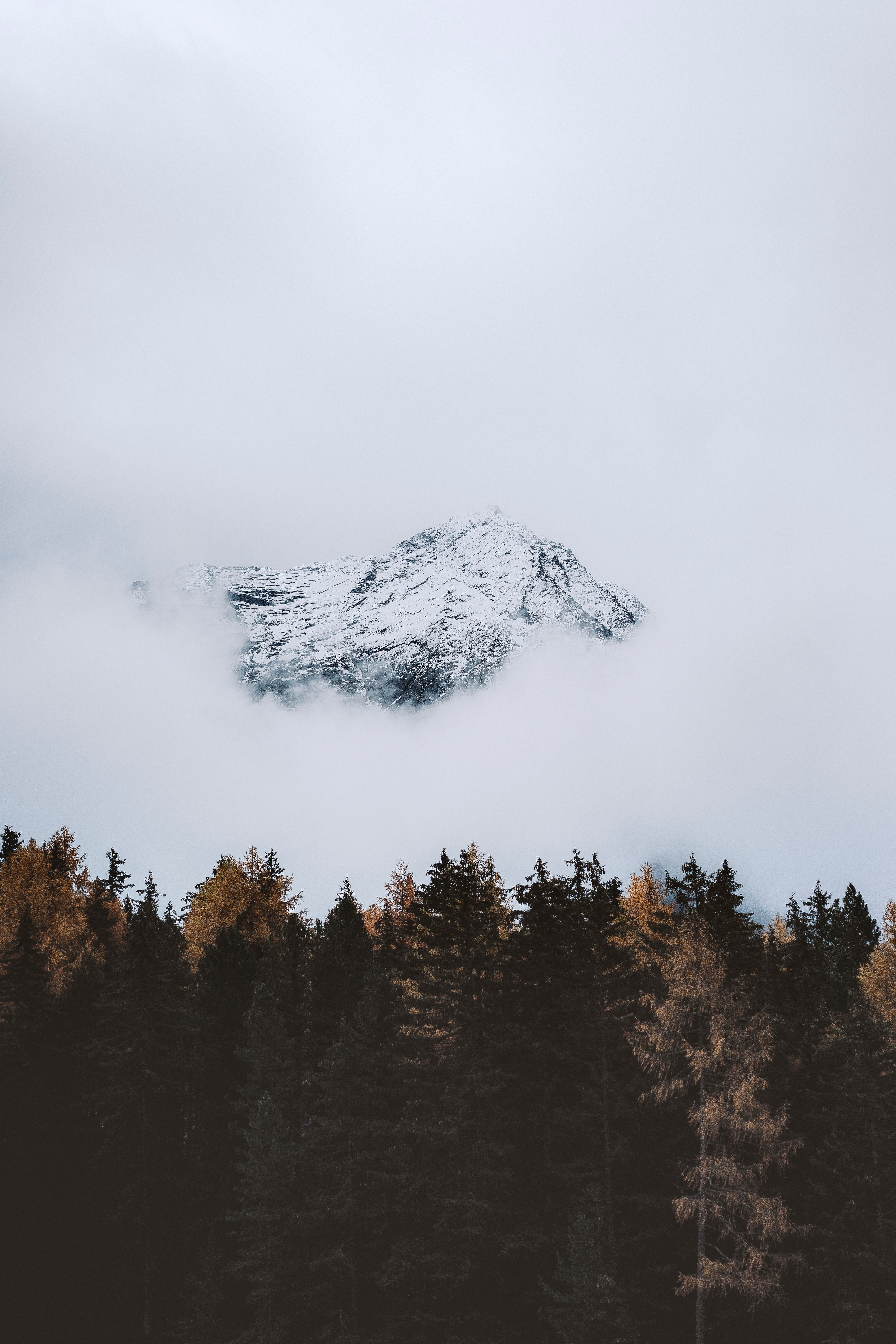 Download mobile wallpaper Top, Trees, Vertex, Mountain, Cloud, Nature for free.
