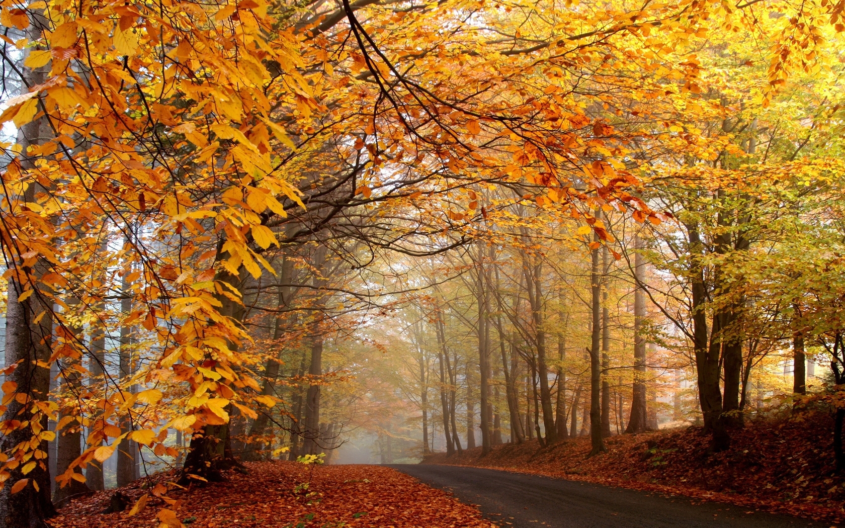 40132 завантажити картинку осінь, пейзаж, дороги, помаранчевий - шпалери і заставки безкоштовно