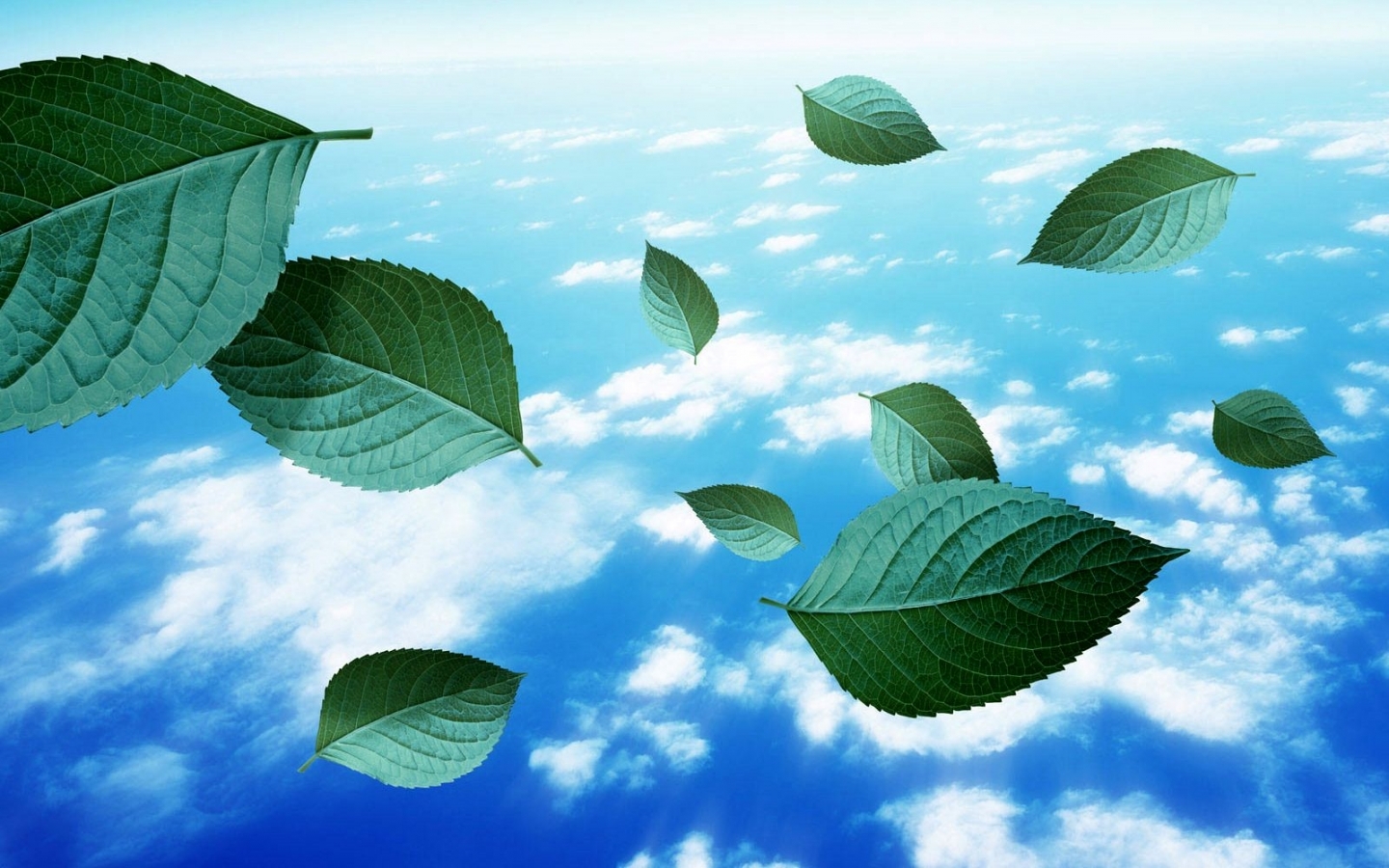 Download mobile wallpaper Plants, Clouds, Leaves, Landscape, Sky for free.
