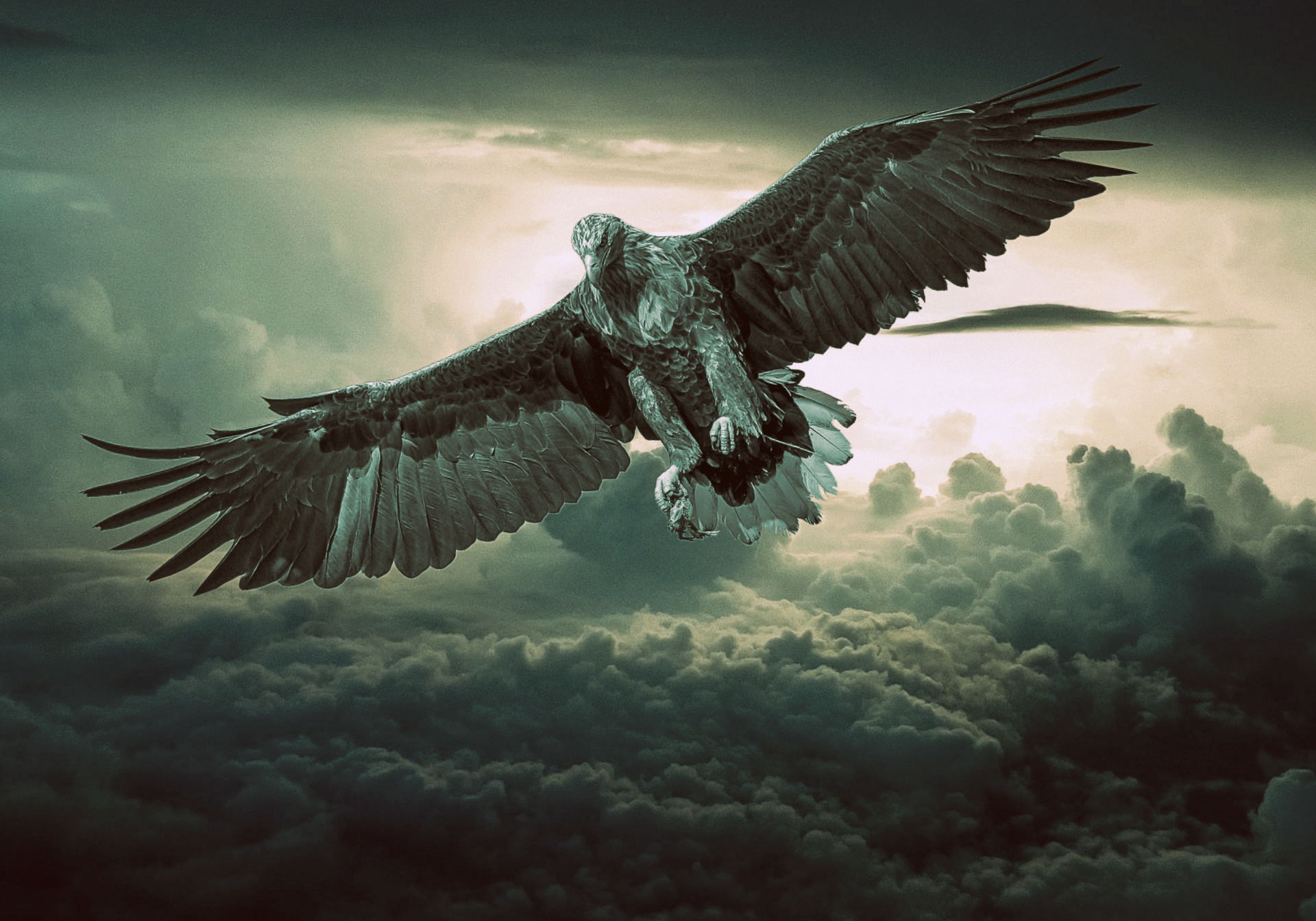 eagle, bird of prey, animal, bird, cloud, flying, manipulation, sky, birds