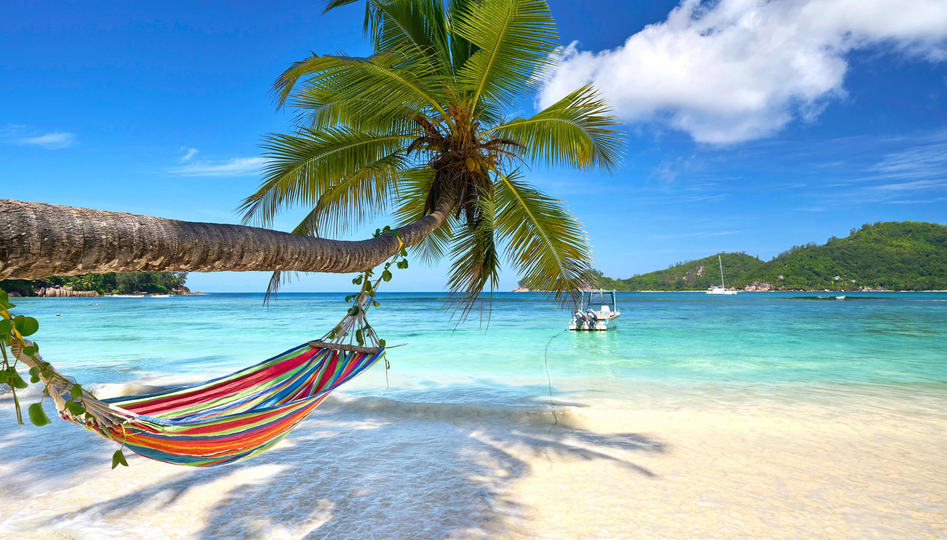 turquoise, beach, hammock, photography, ocean, horizon, palm tree, sea, tropical