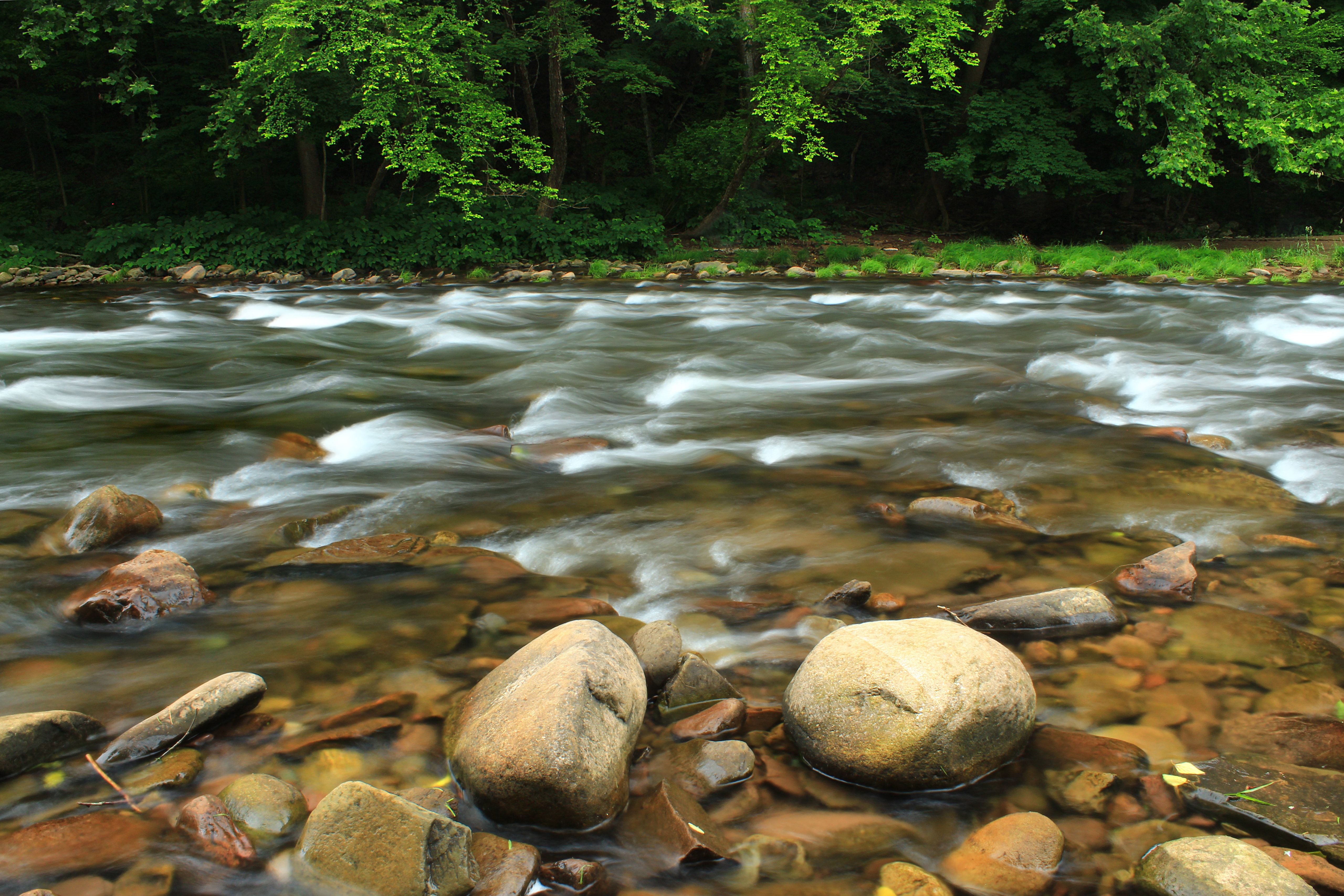 129750 Hintergrundbild herunterladen fließen, natur, flüsse, bäume, stones, stream - Bildschirmschoner und Bilder kostenlos