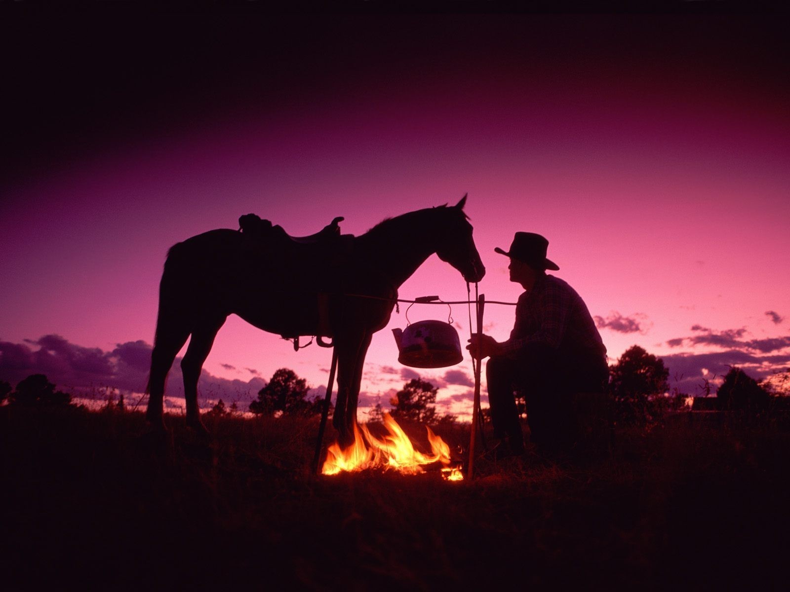 men, cowboy, horse, sky High Definition image
