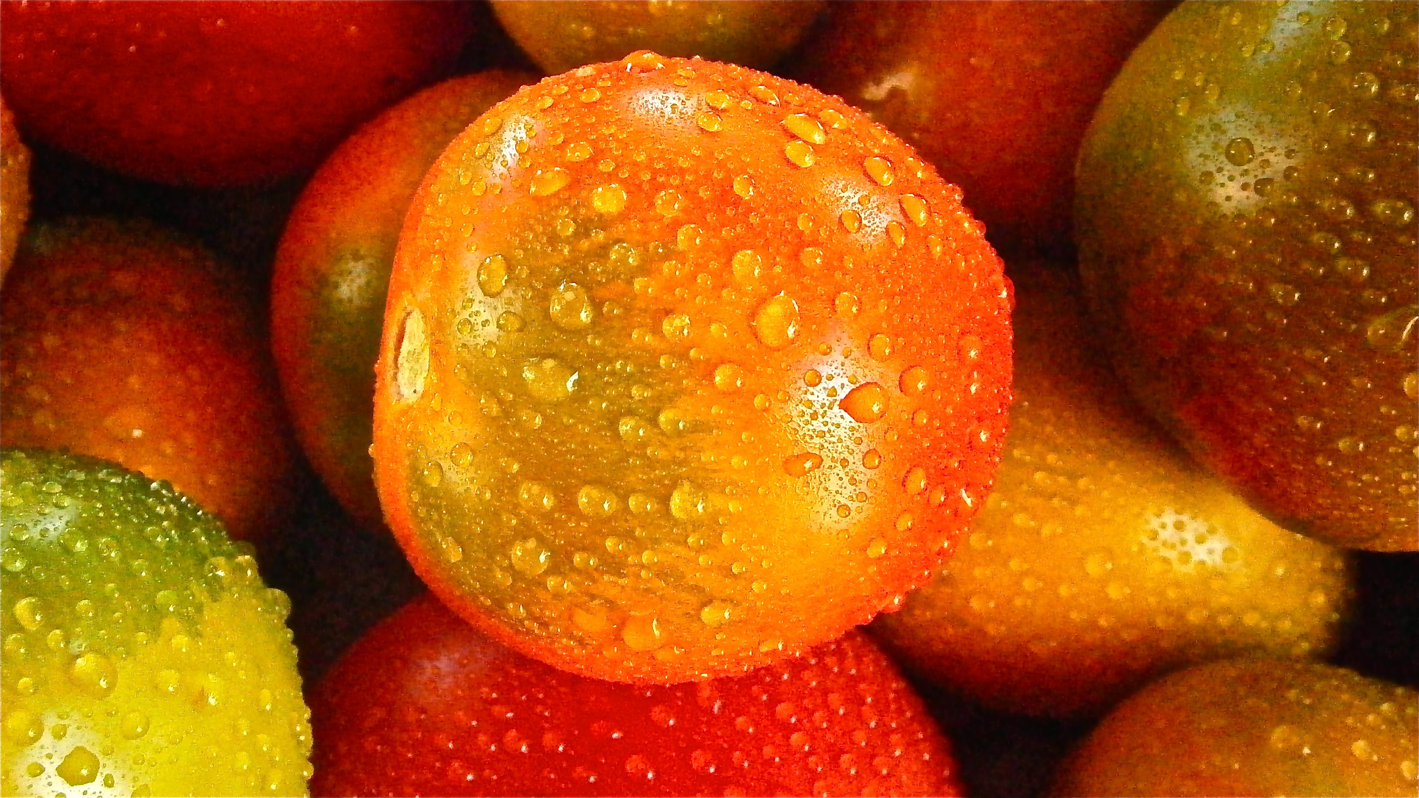 123372 Hintergrundbild herunterladen lebensmittel, gemüse, drops, tomaten, tomate - Bildschirmschoner und Bilder kostenlos