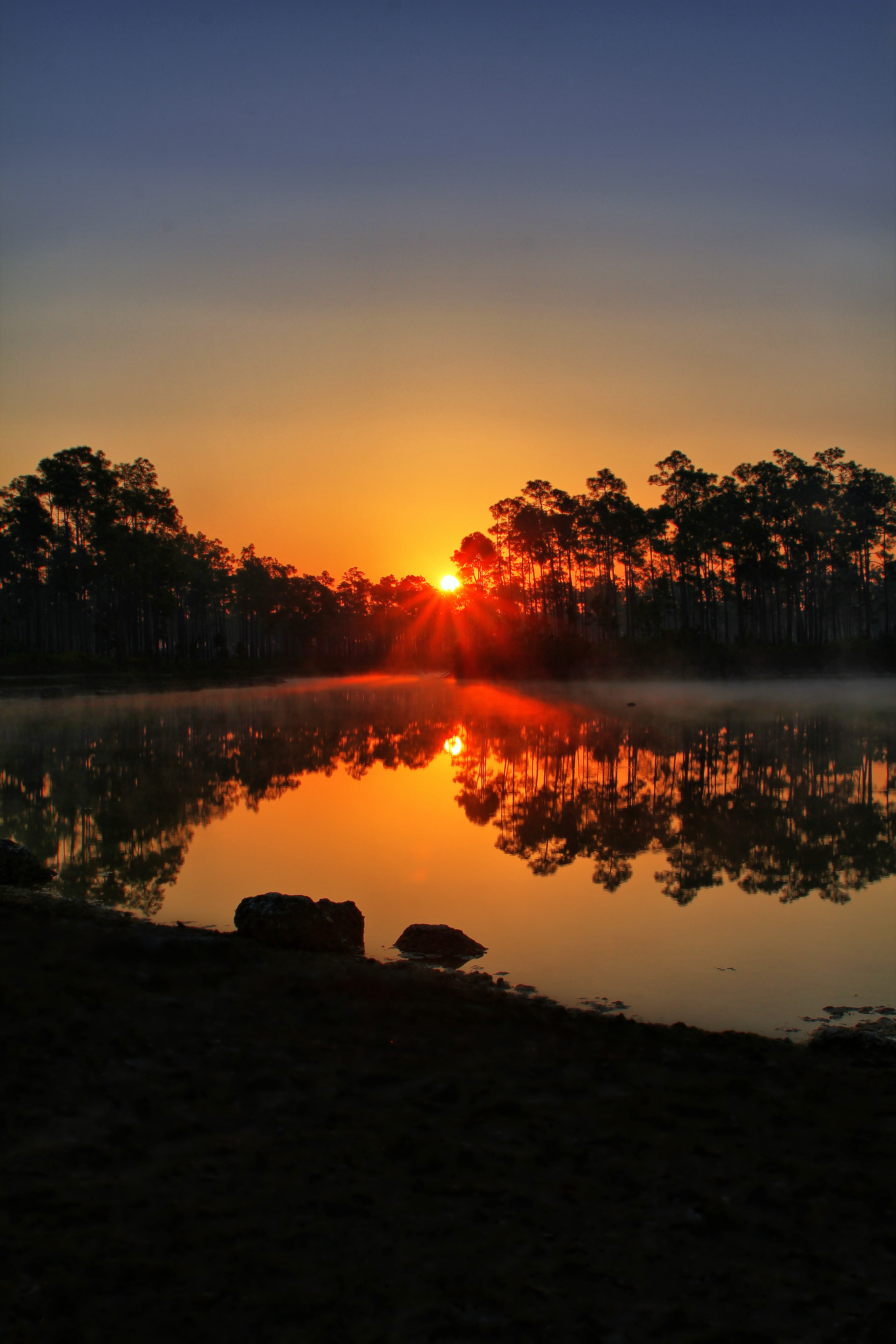 Laden Sie das Natur, Sunset, See, Balken, Strahlen, Bäume, Florida-Bild kostenlos auf Ihren PC-Desktop herunter