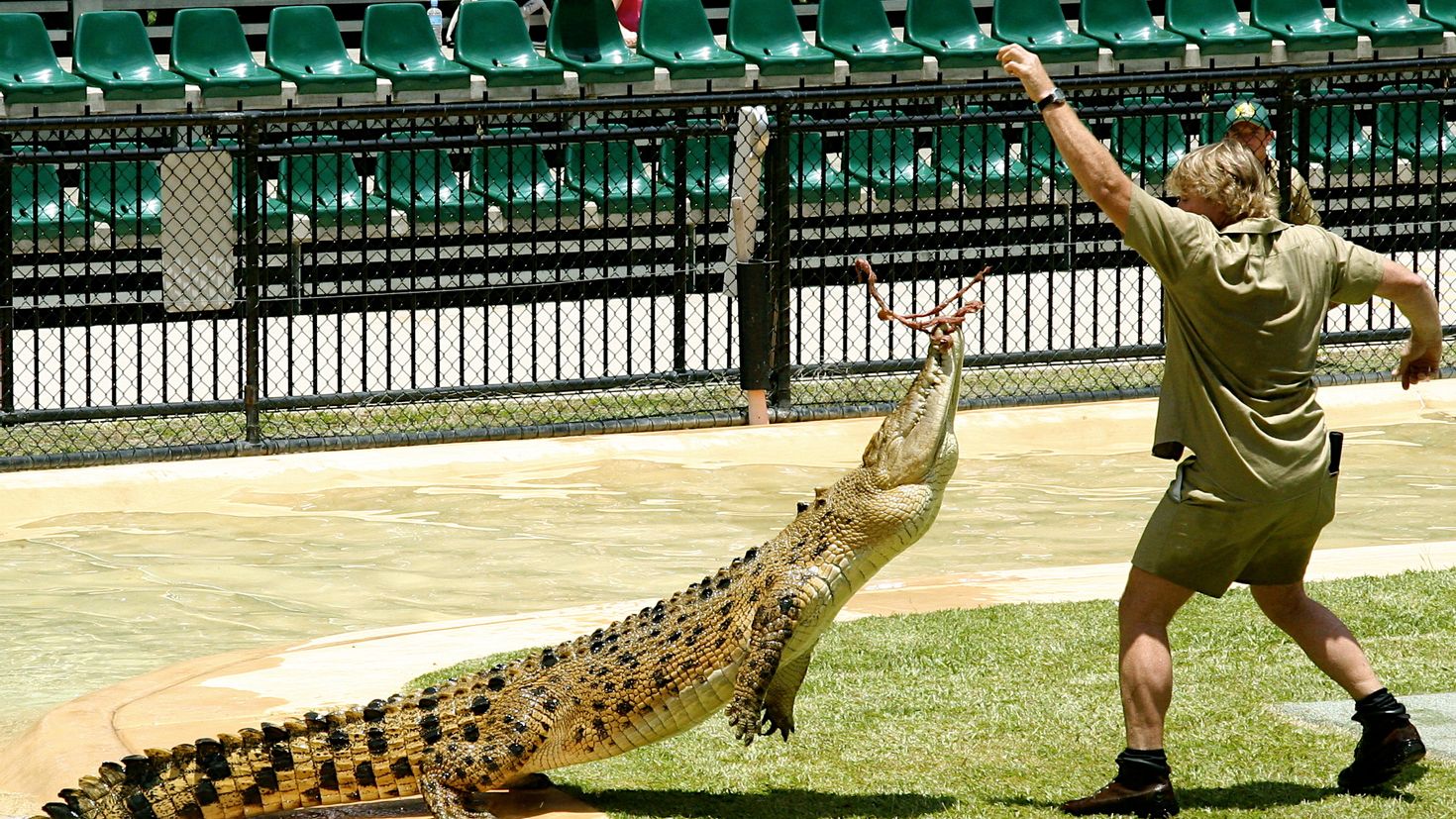 Австралийский зоопарк Стива Ирвина. Австралийский крокодил. The Crocodile Hunter Diaries. Crocodile Wallpaper. Огромный проявлять