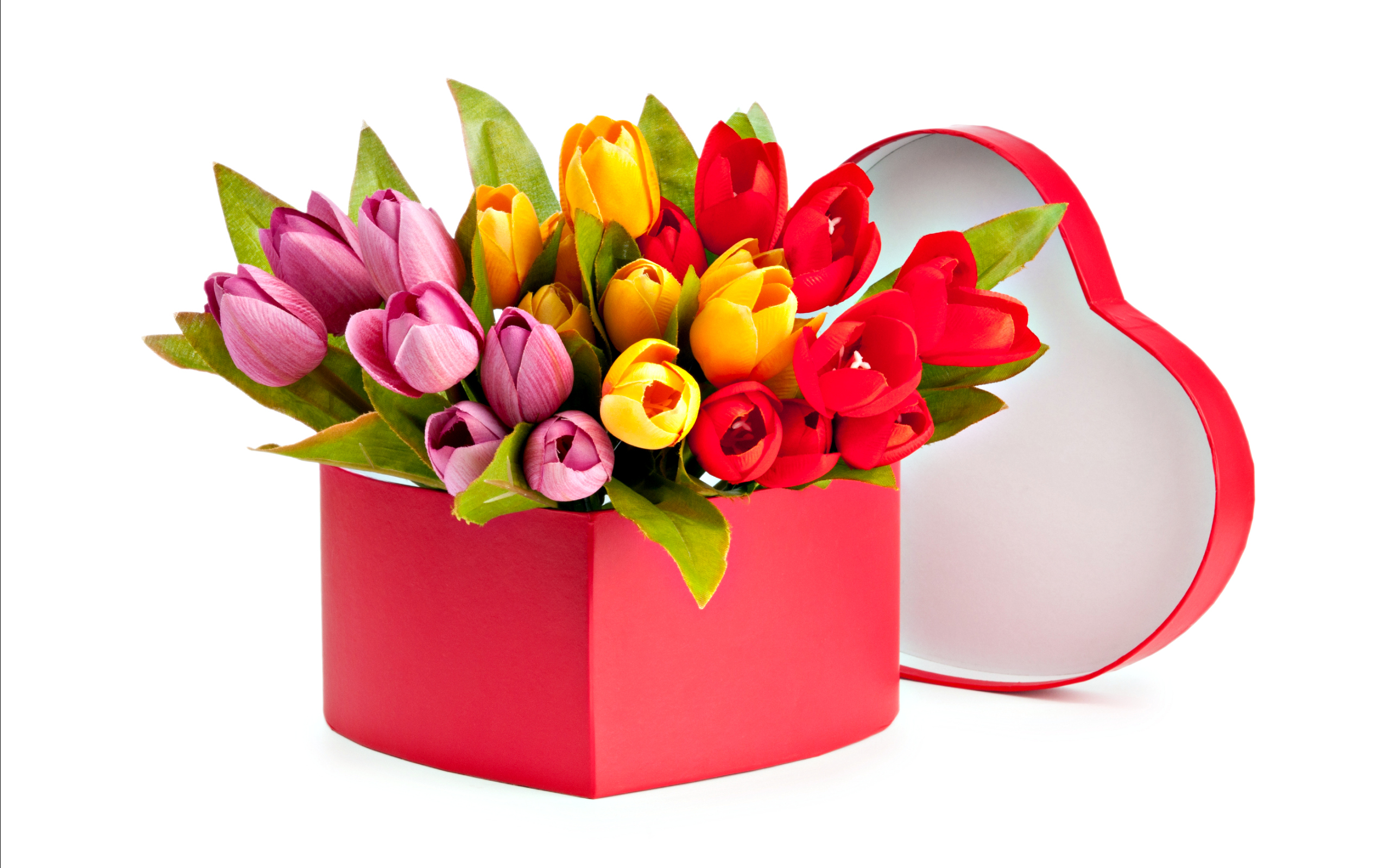 red flower, man made, flower, box, colorful, colors, pink flower, tulip, yellow flower HD wallpaper